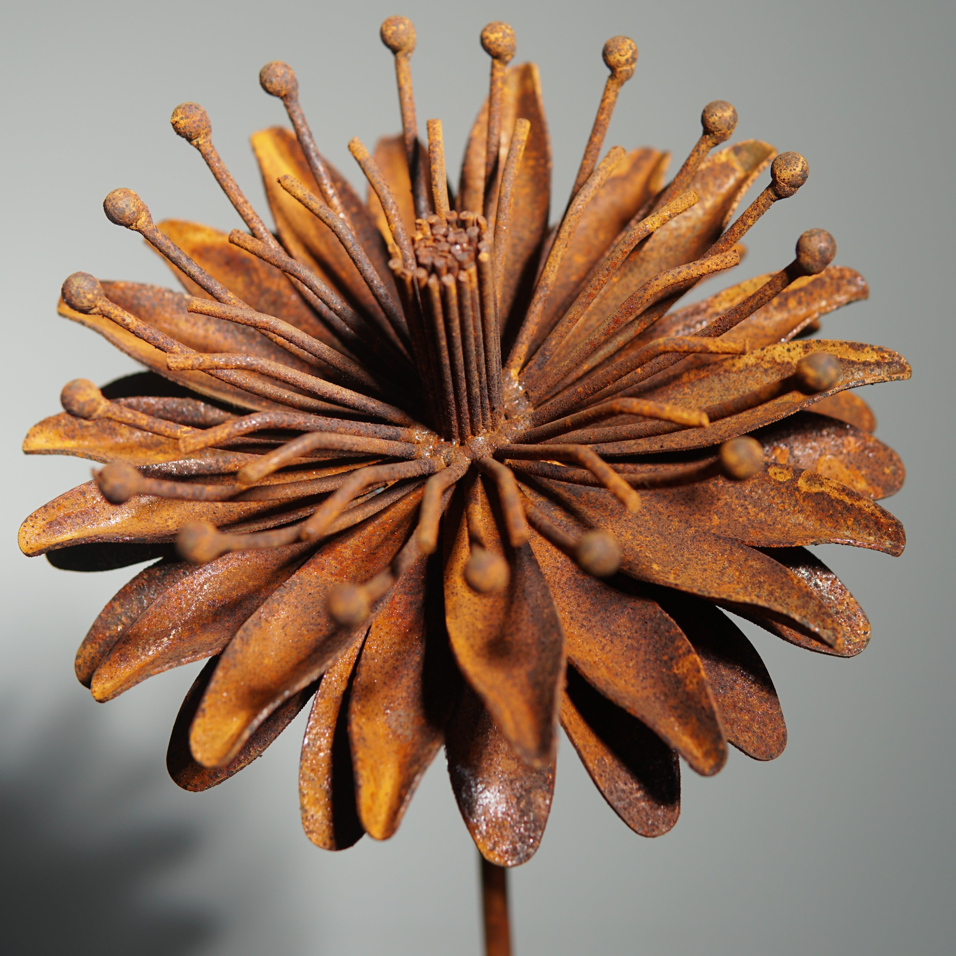 W6049 - Iron wire flower stake