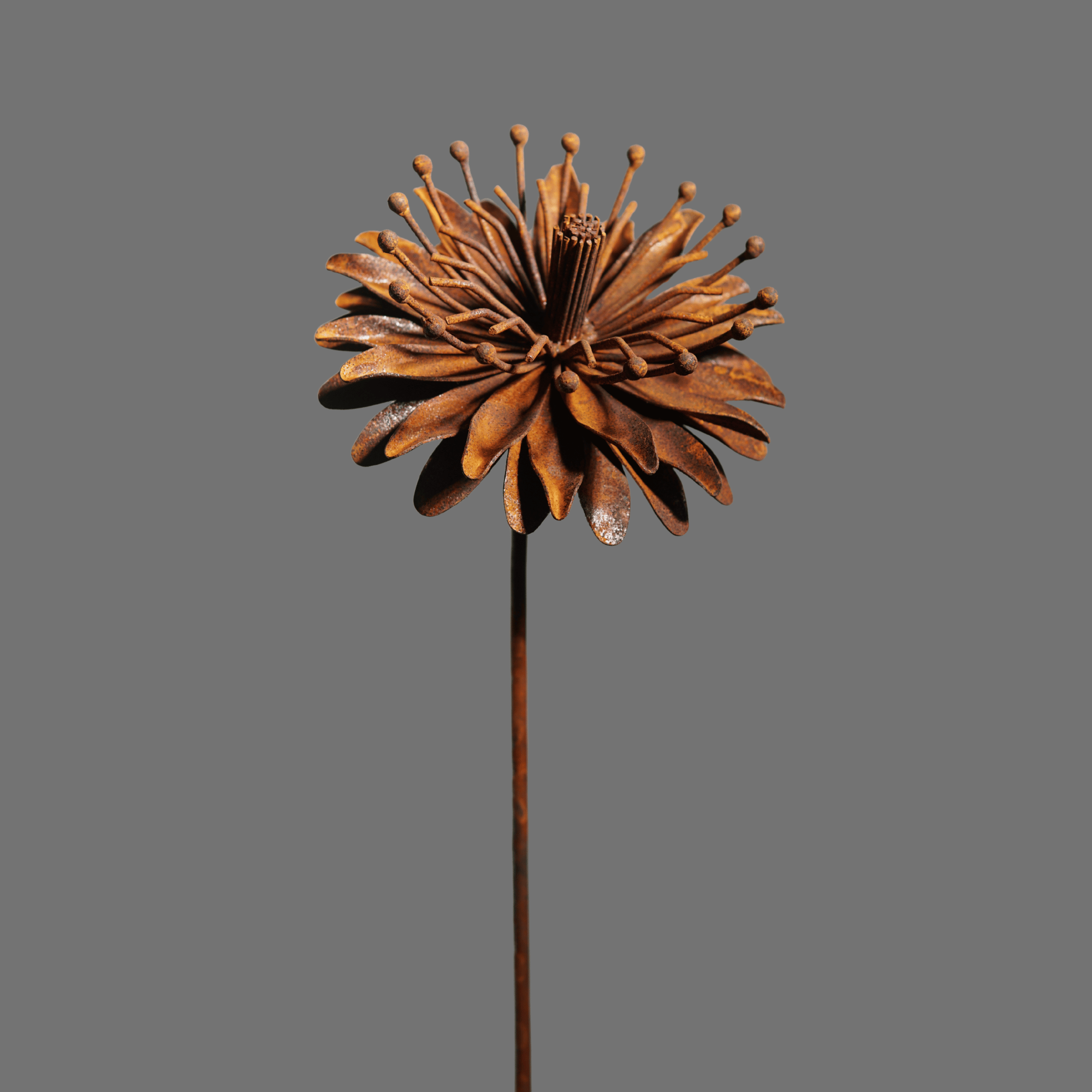 W6049 - Iron wire flower stake