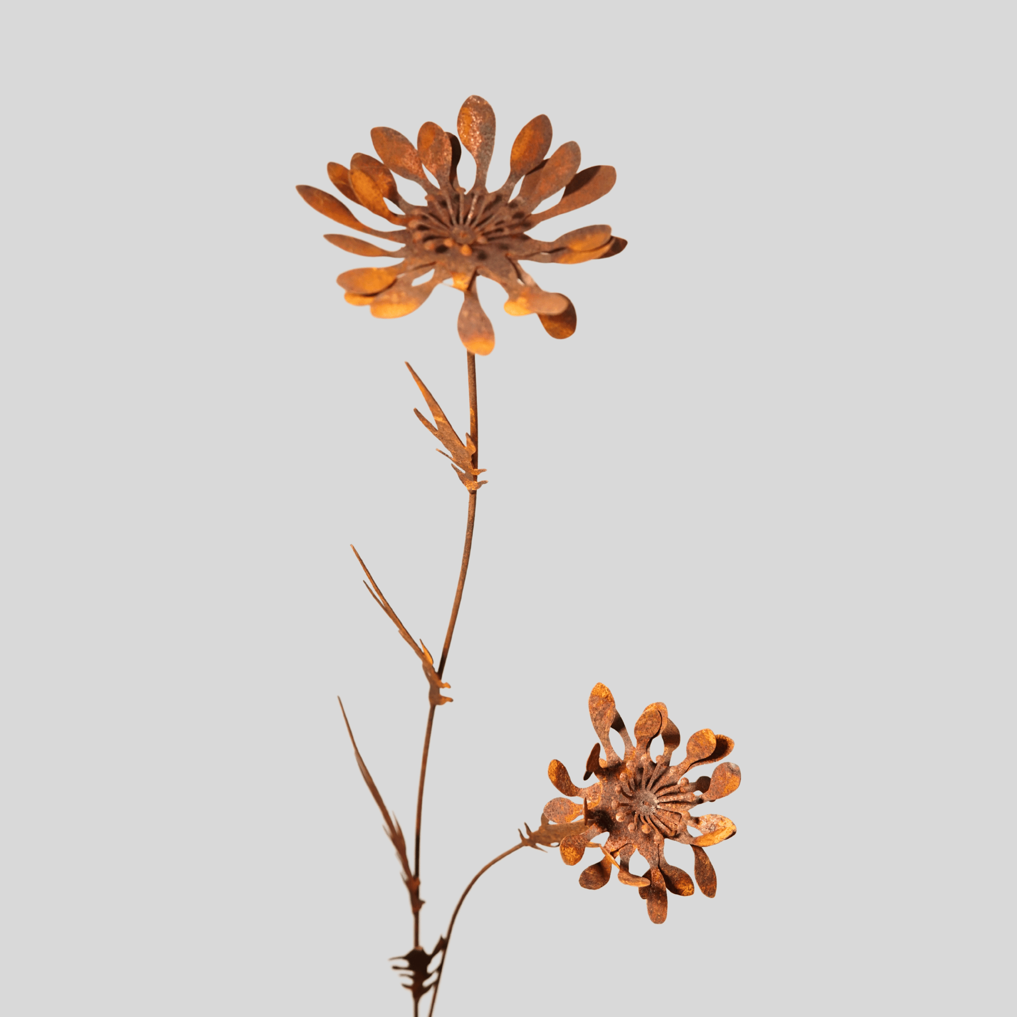 W6014 - Mountain chrysanthemum flower stake