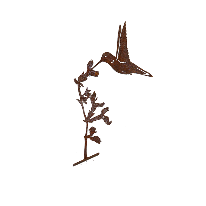 *W4258F/M Hummingbird on Salvia Flower F/M