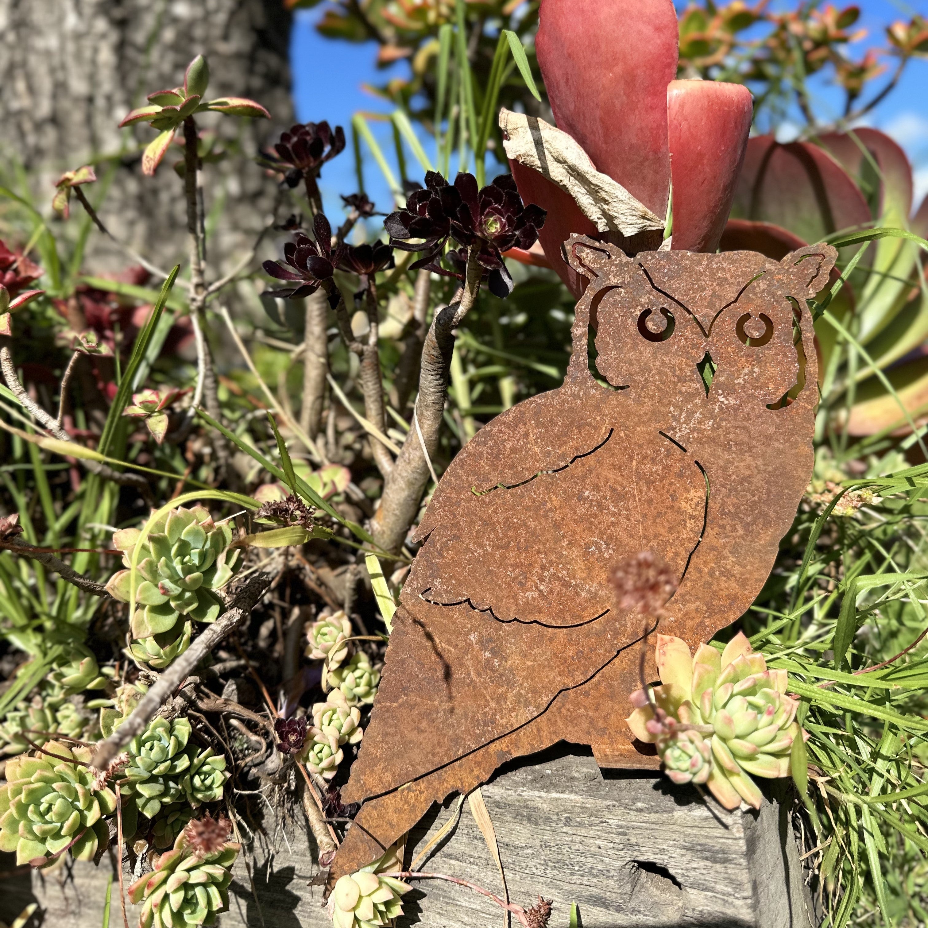 *W3585sm-F/M Bird Owl w/ear sm F/M