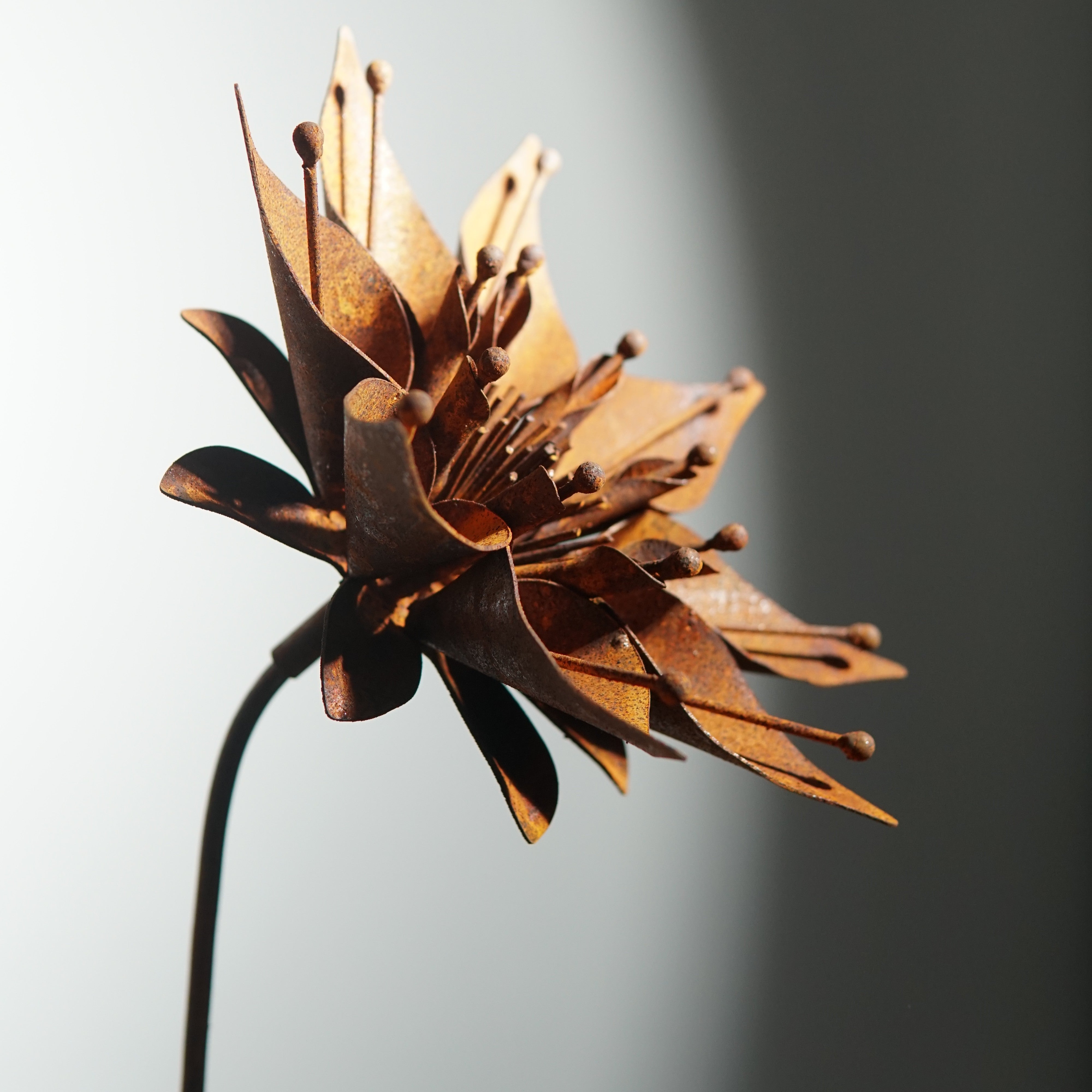 W6050 - Morning glory flower stake