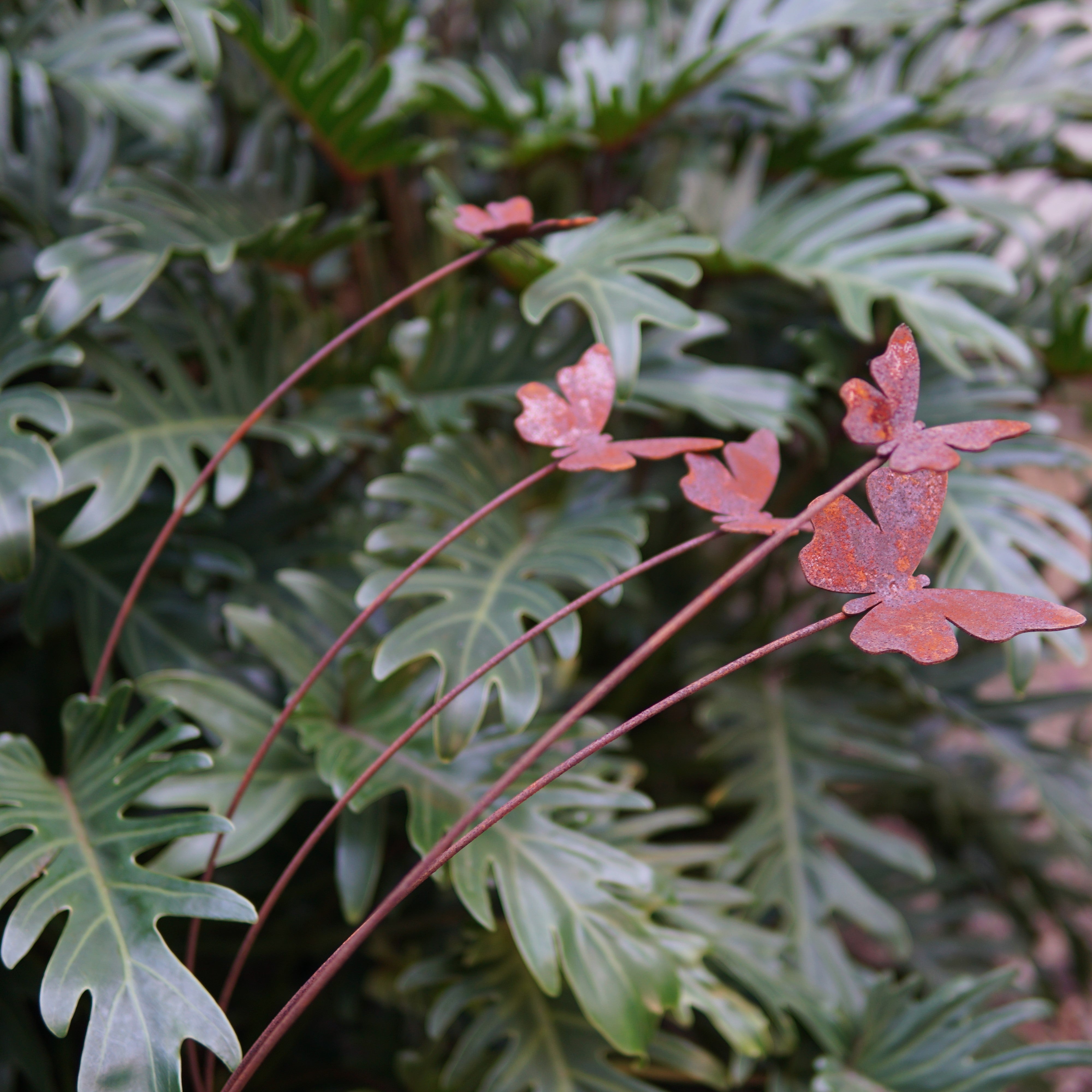 C1075DF5-butterfly Five butterflies with curved stakes - Set of 1