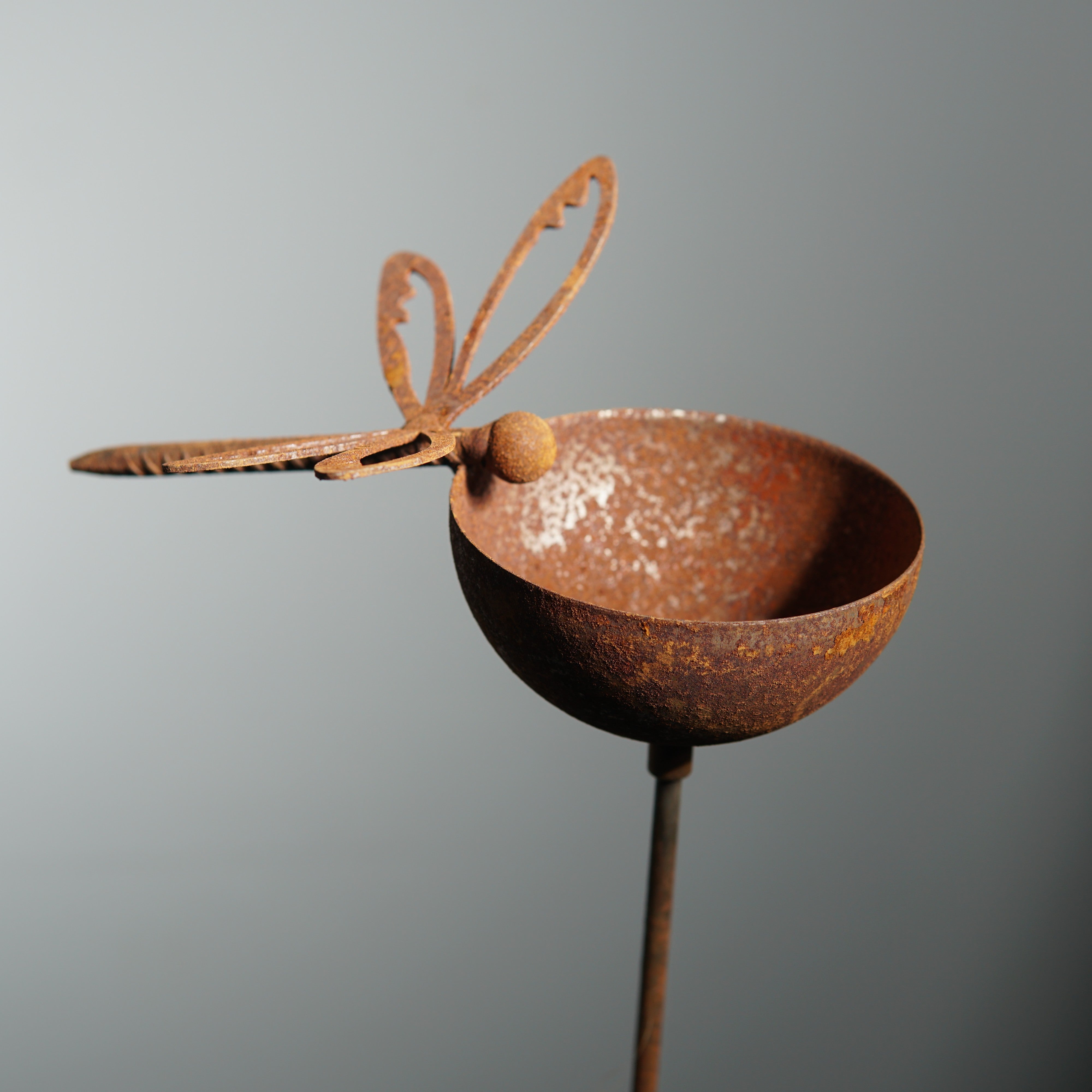 W4996 dragonfly rain bowl