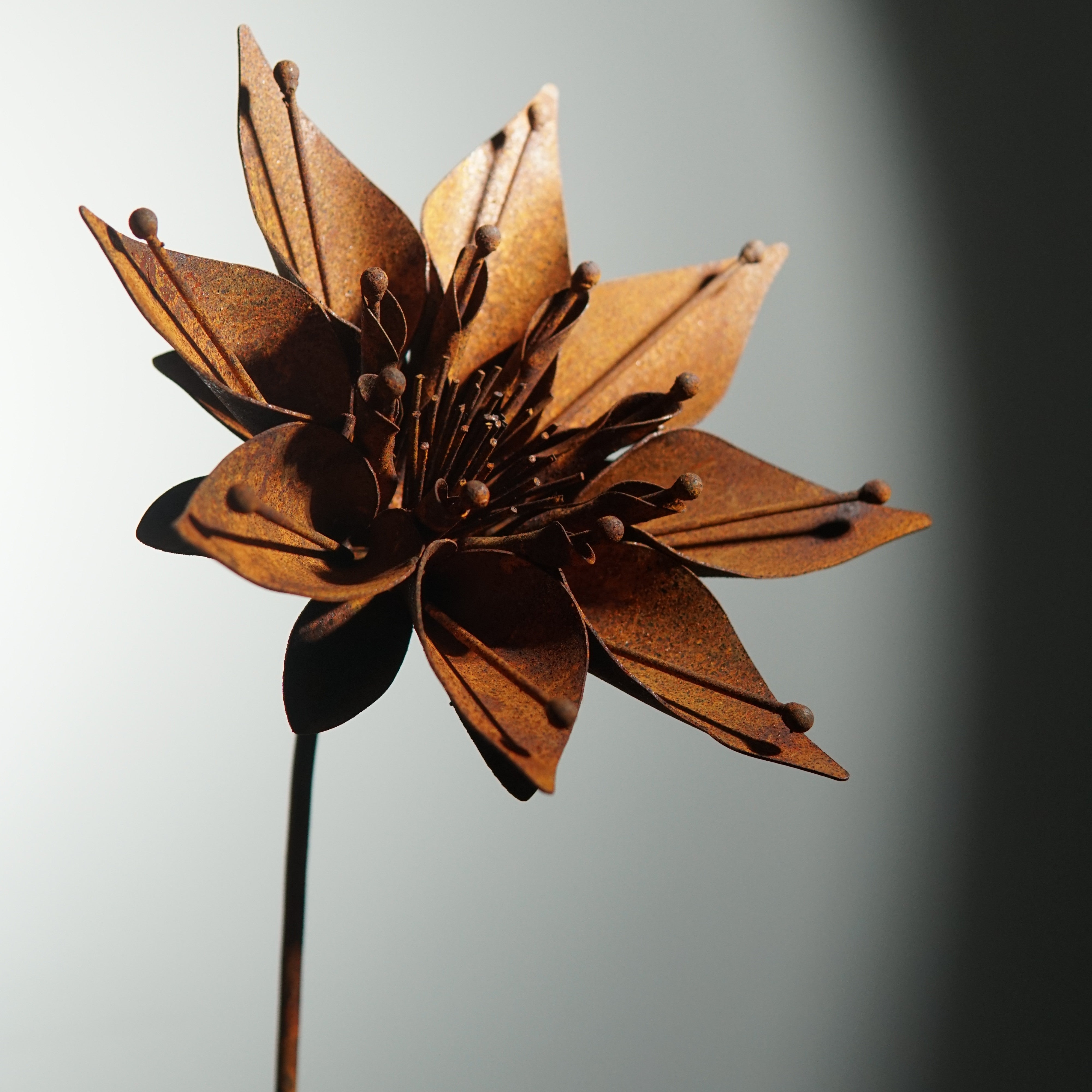 W6050 - Morning glory flower stake