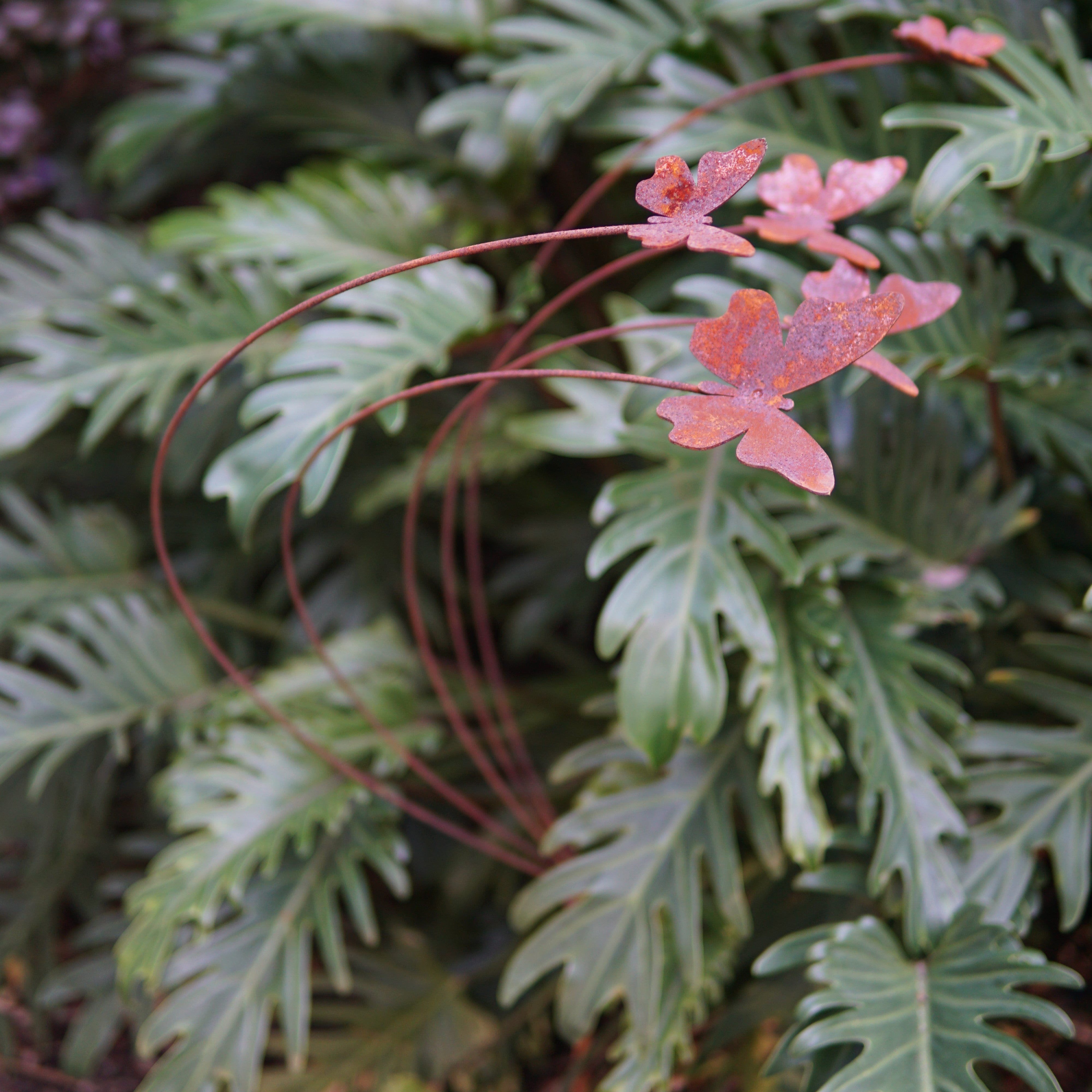 C1075DF5-butterfly Five butterflies with curved stakes - Set of 1