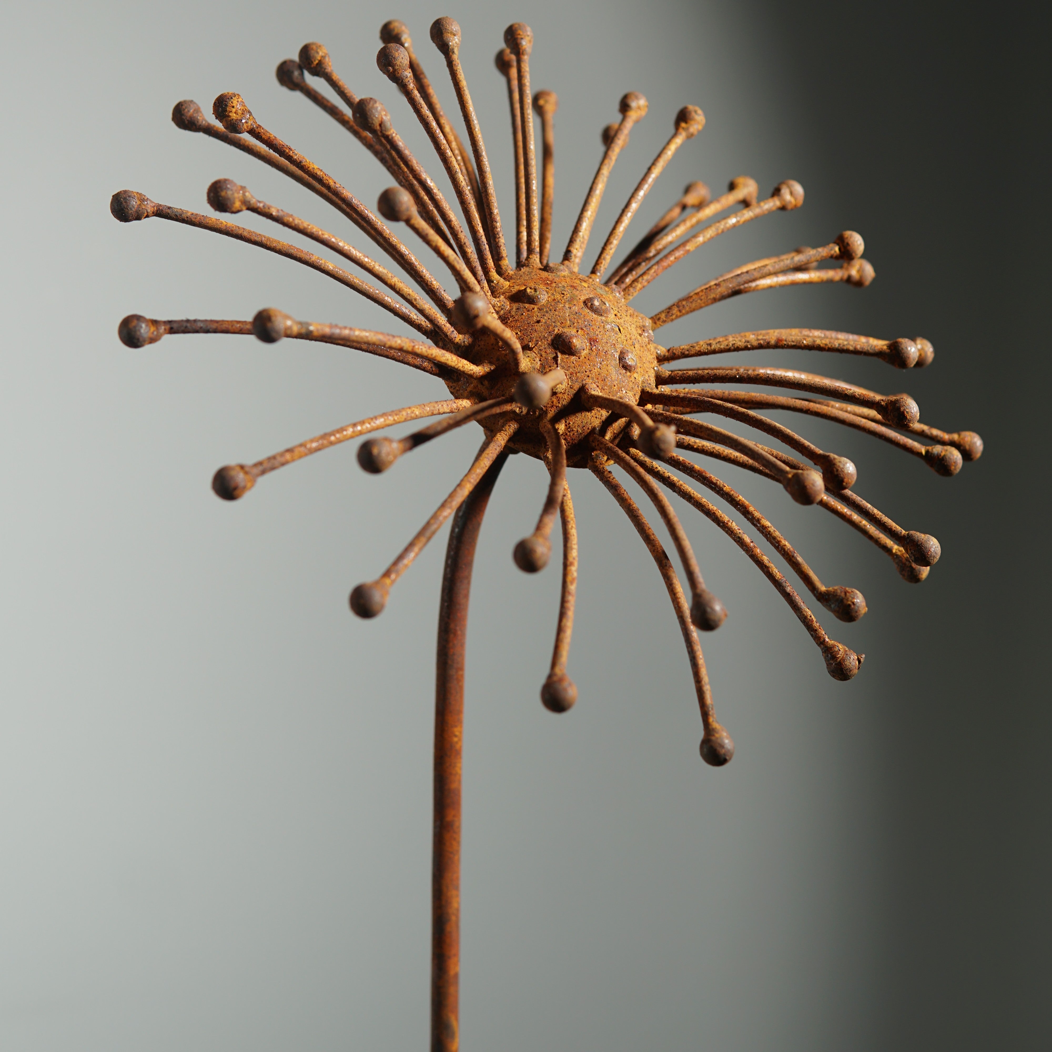 W6052 - Daisy flower stake