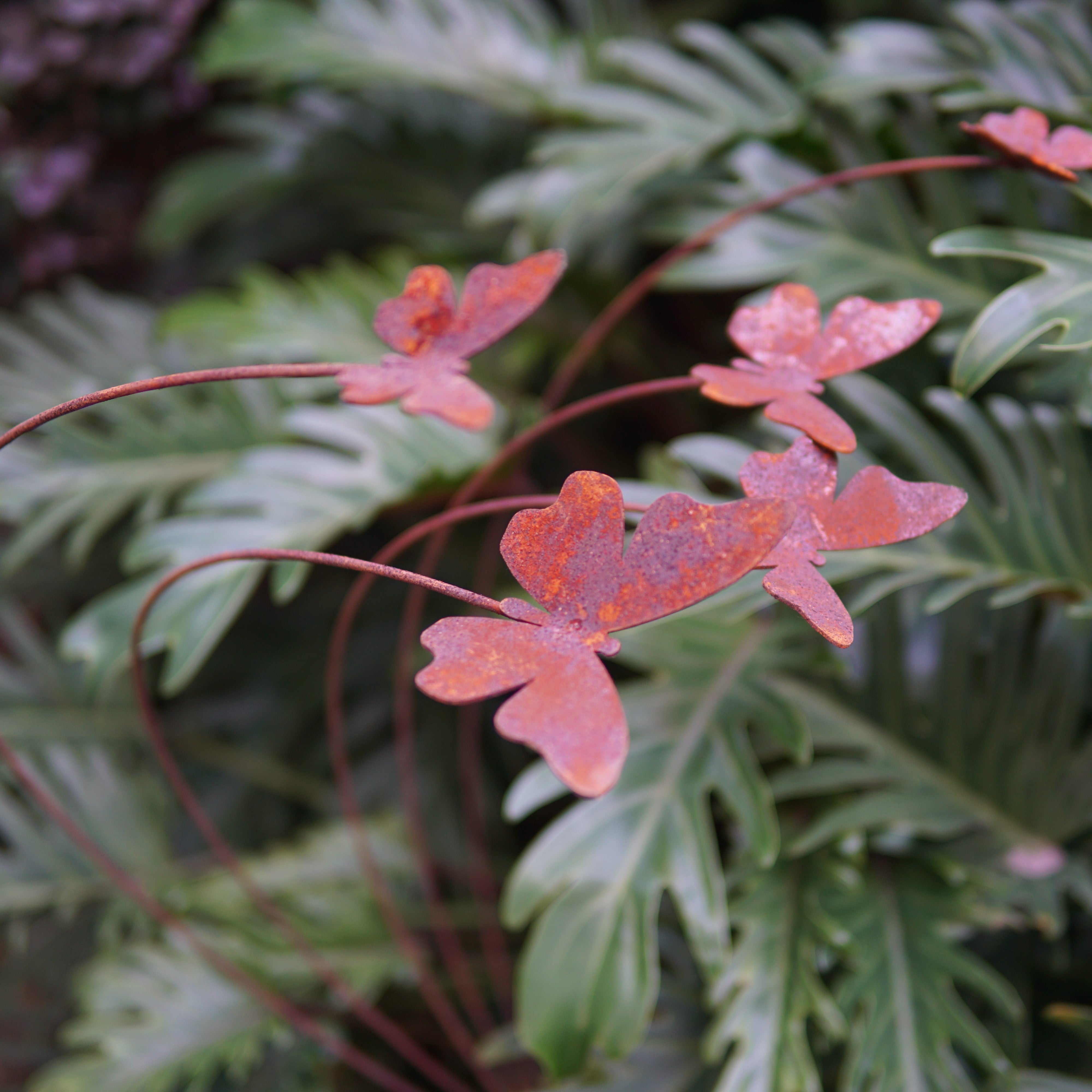 C1075DF5-butterfly Five butterflies with curved stakes - Set of 1