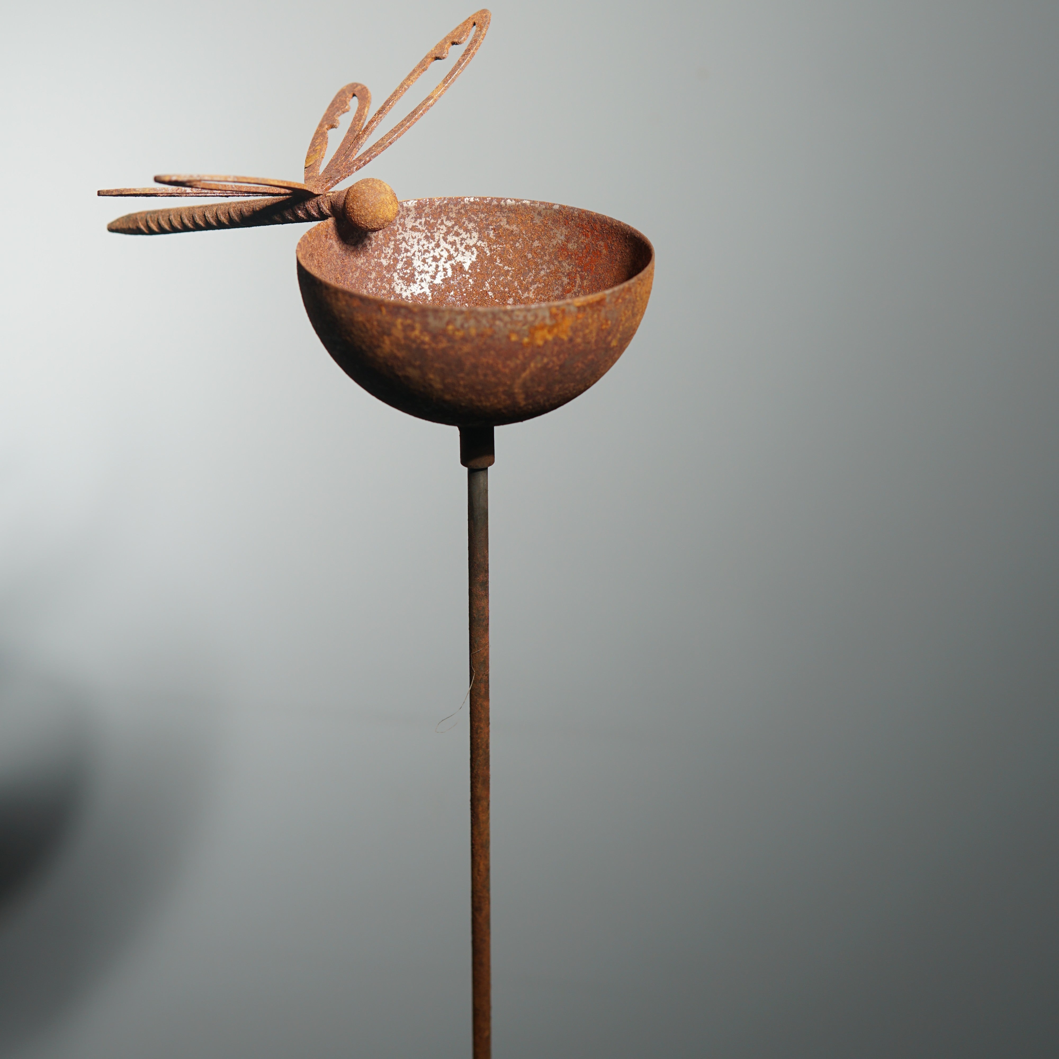 W4996 dragonfly rain bowl