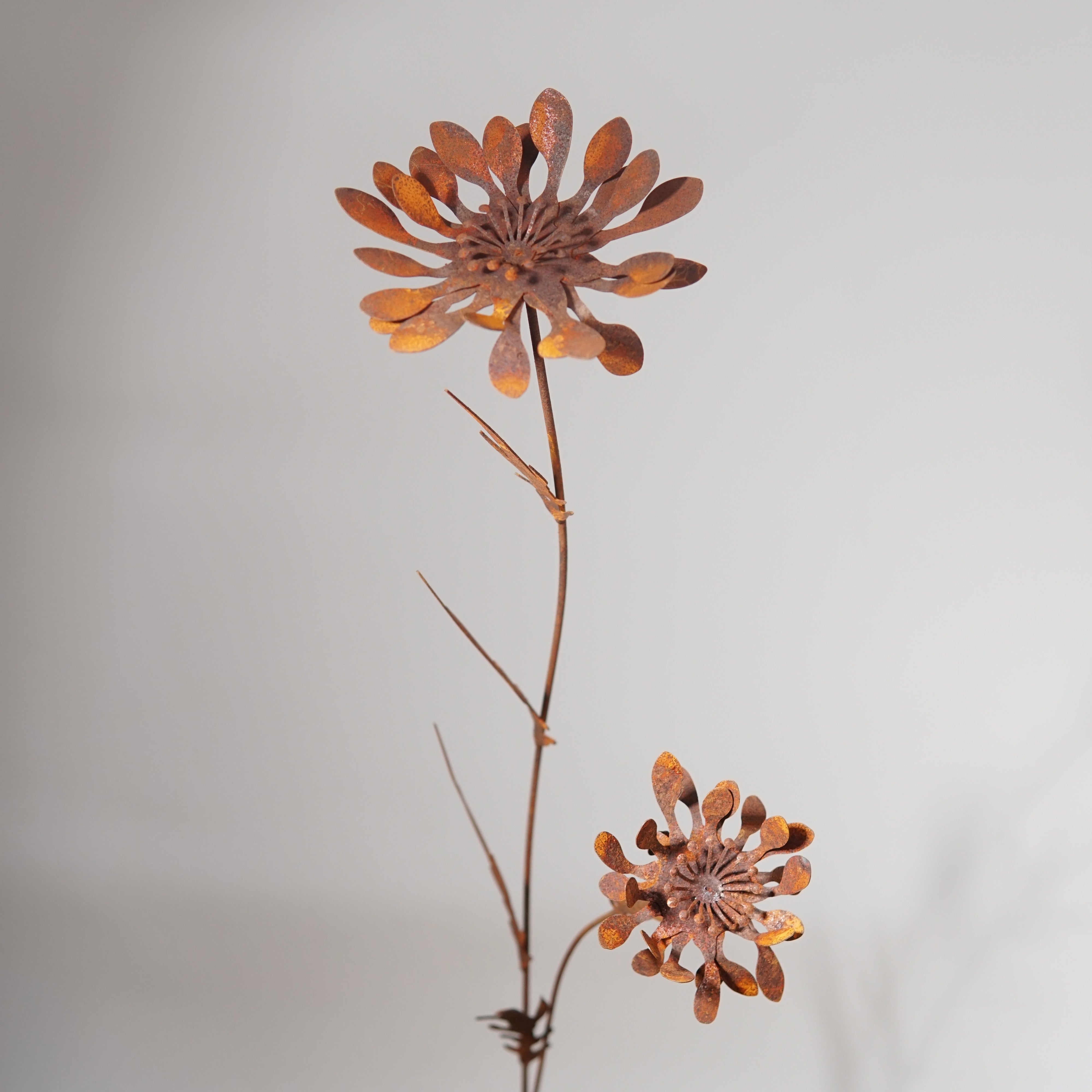 W6014 - Mountain chrysanthemum flower stake