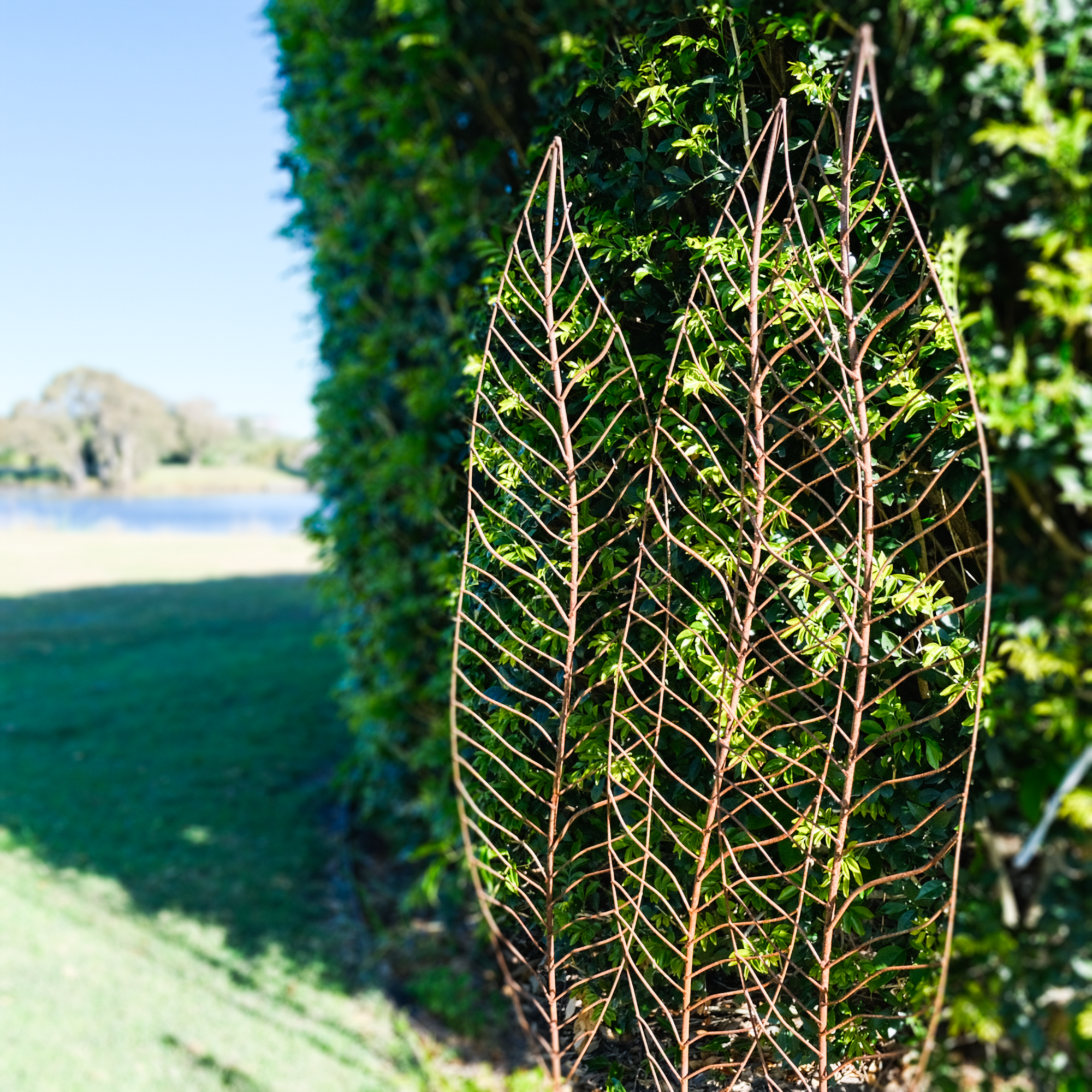 W4084 Narrow Leaf - Set of 5