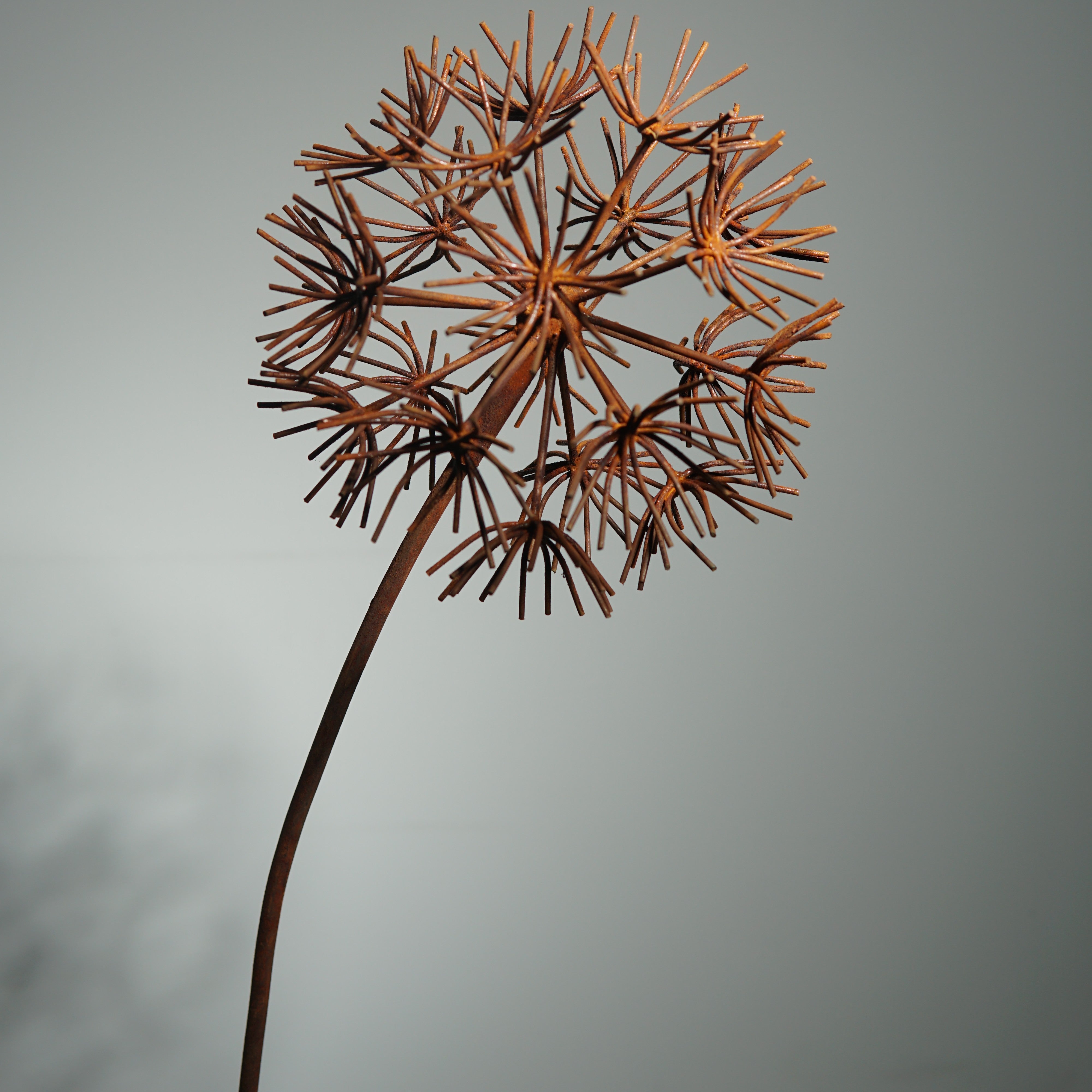 W6078B - Bruniaceae flower stake