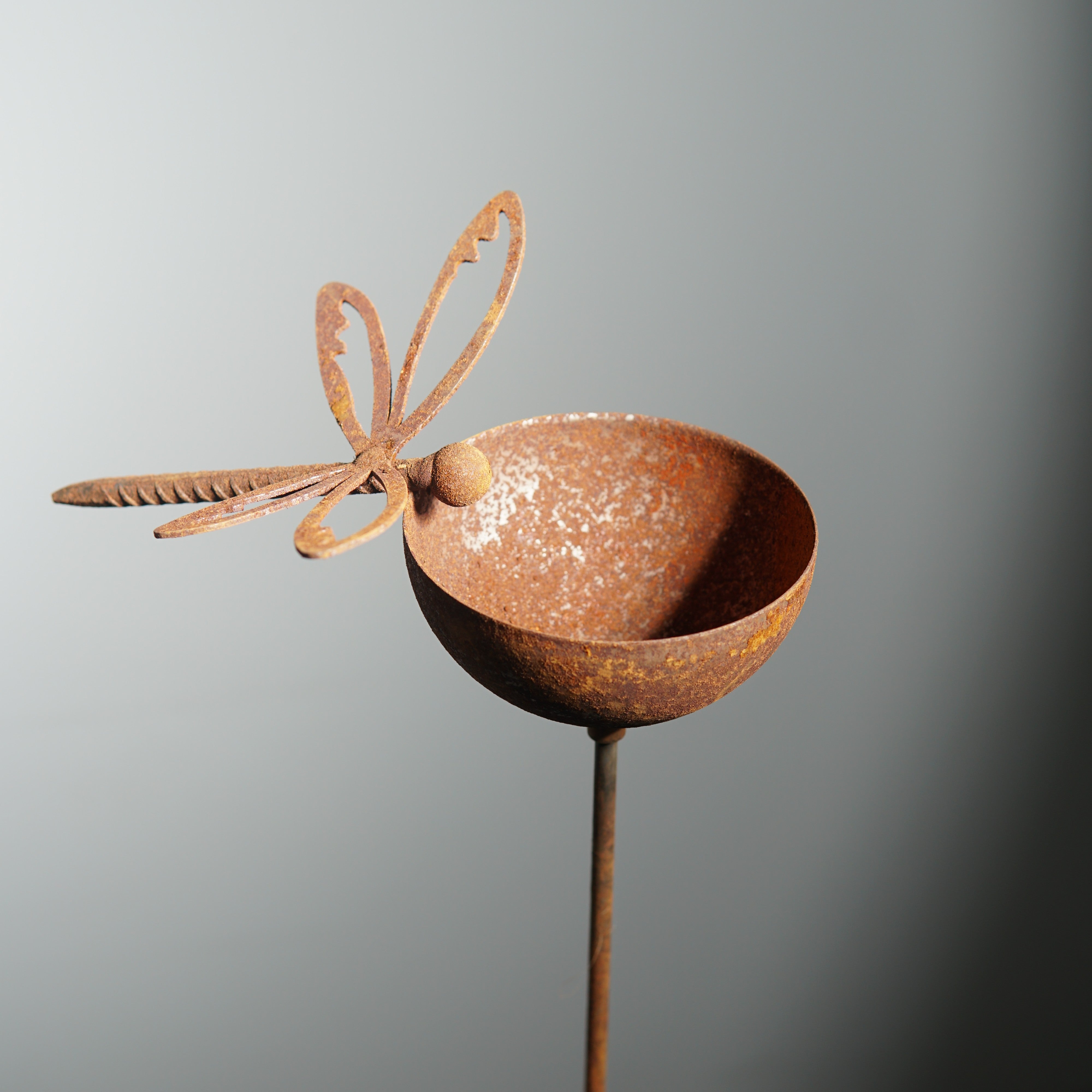 W4996 dragonfly rain bowl