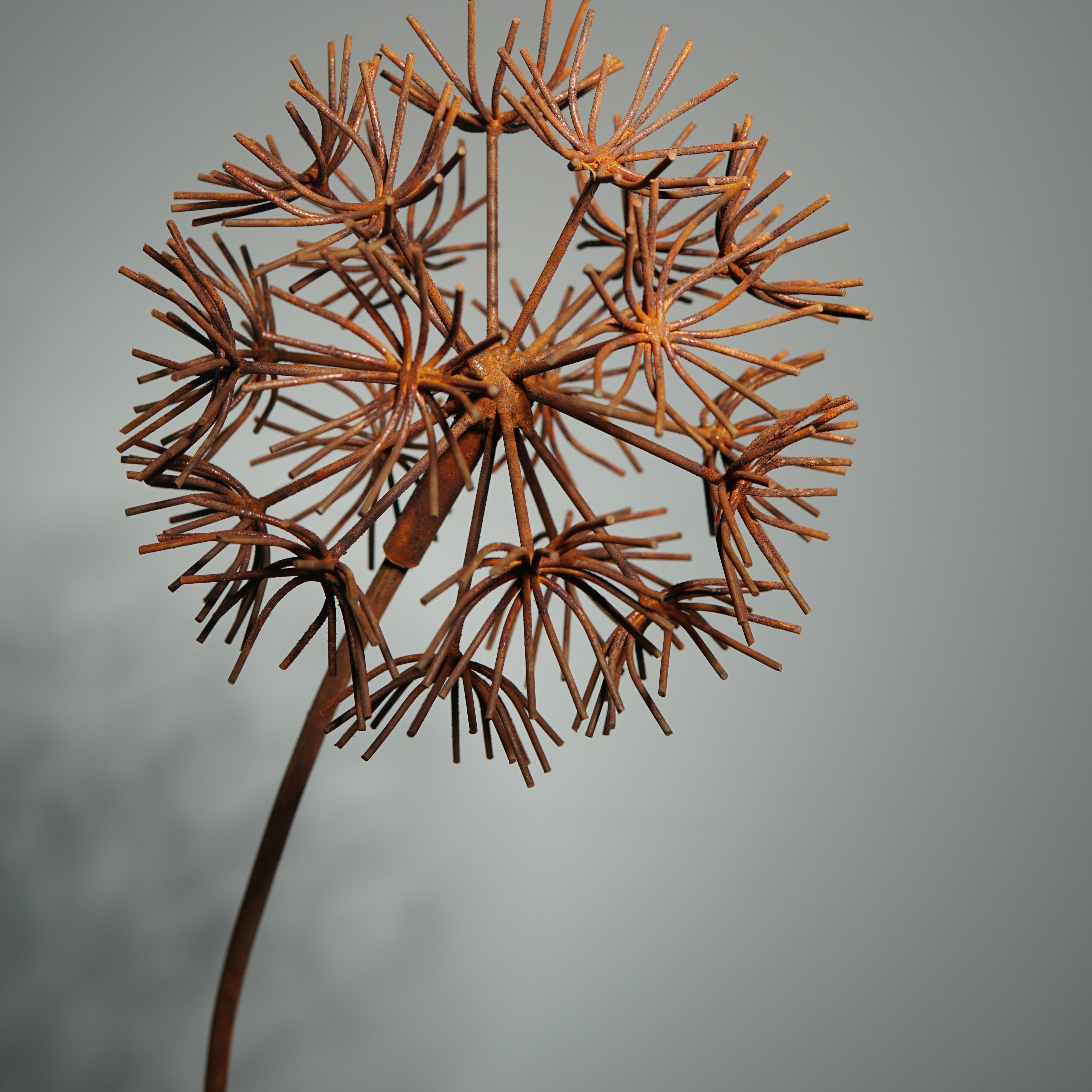W6078B - Bruniaceae flower stake