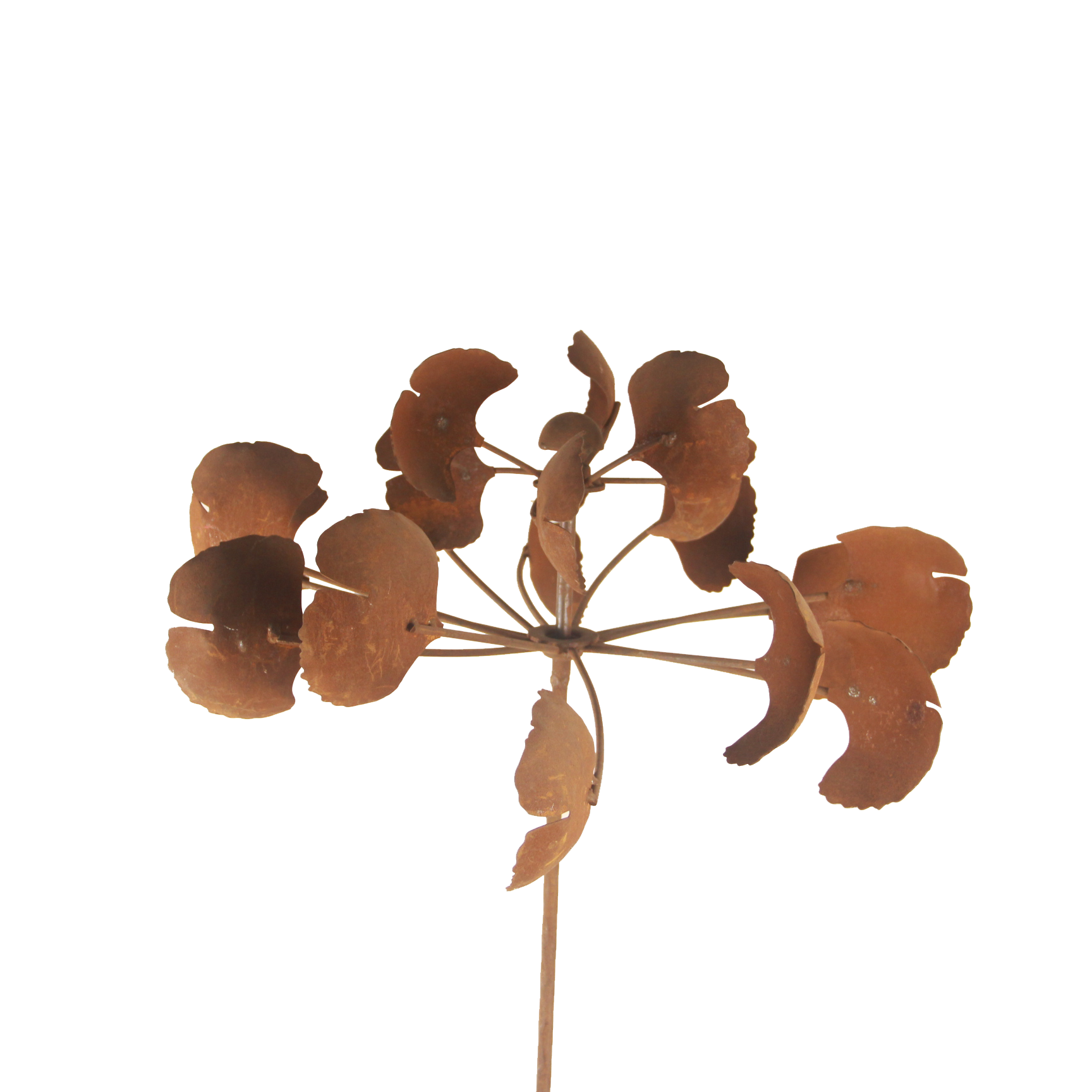 GRG074 Ginkgo lea spinner