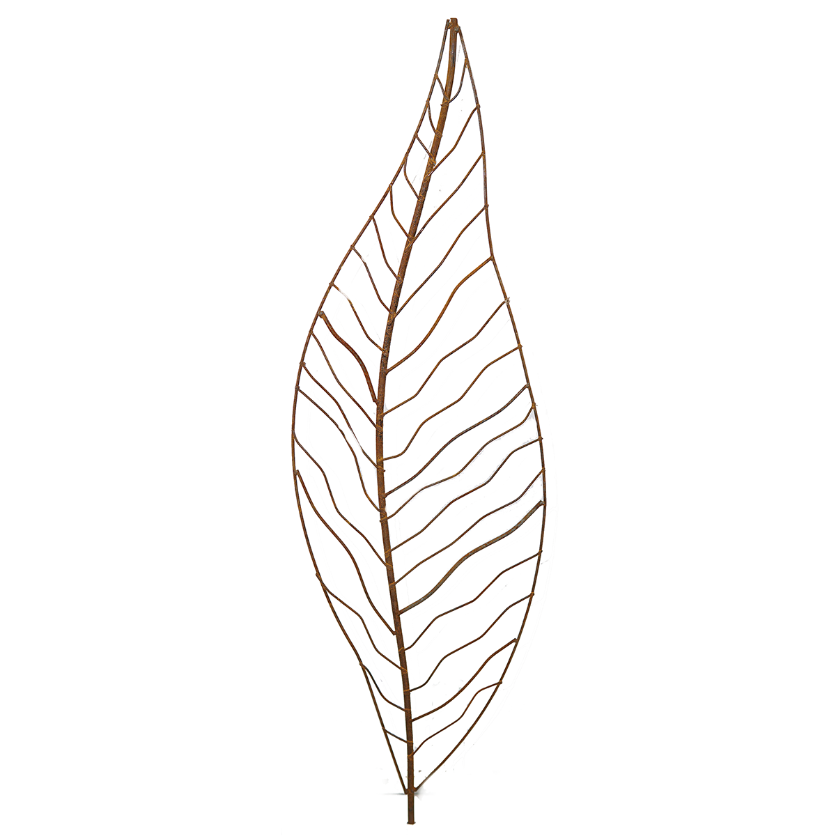 W4084 Narrow Leaf - Set of 5