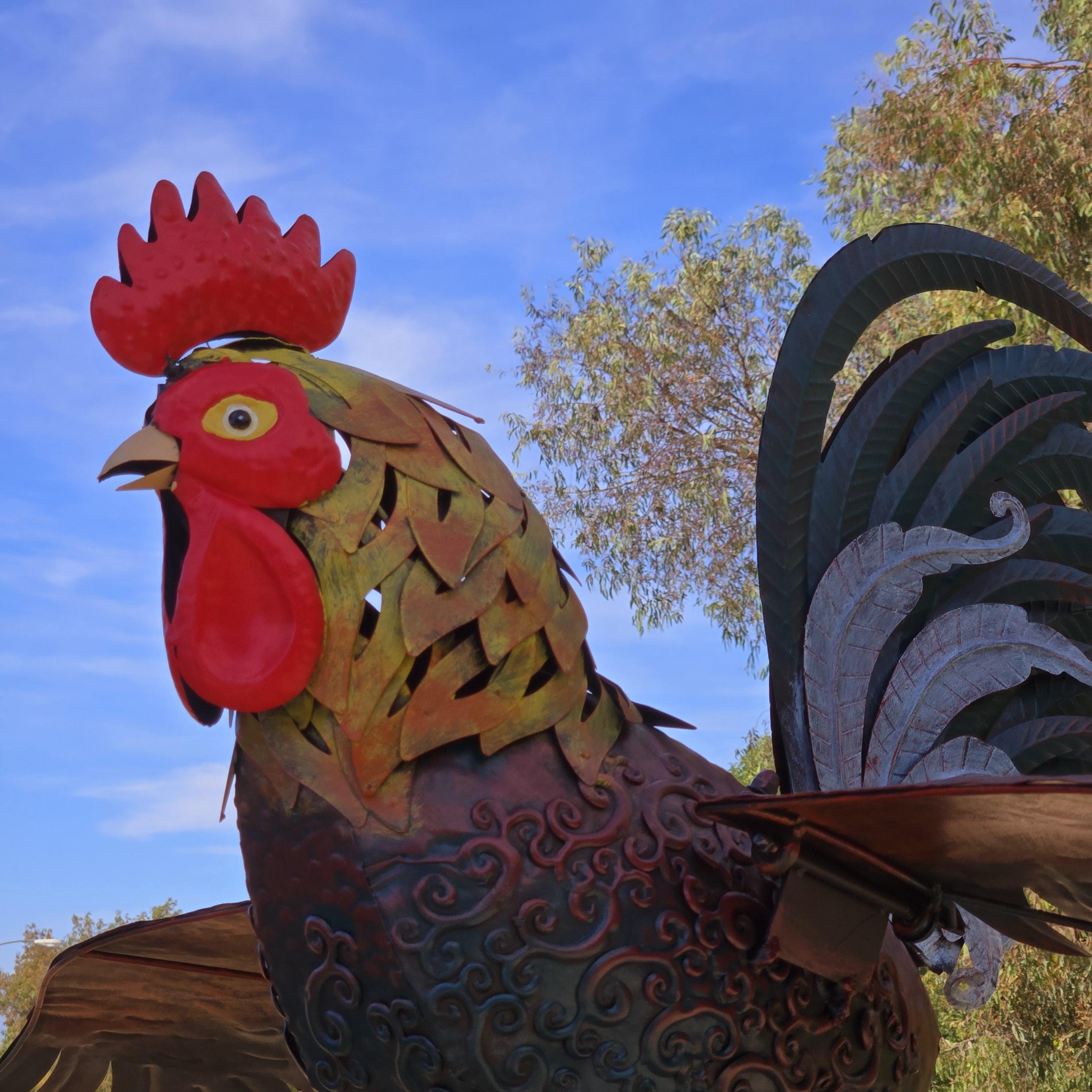 Giant Metal Rooster Garden Sculpture: Kinetic Farmhouse Yard Art
