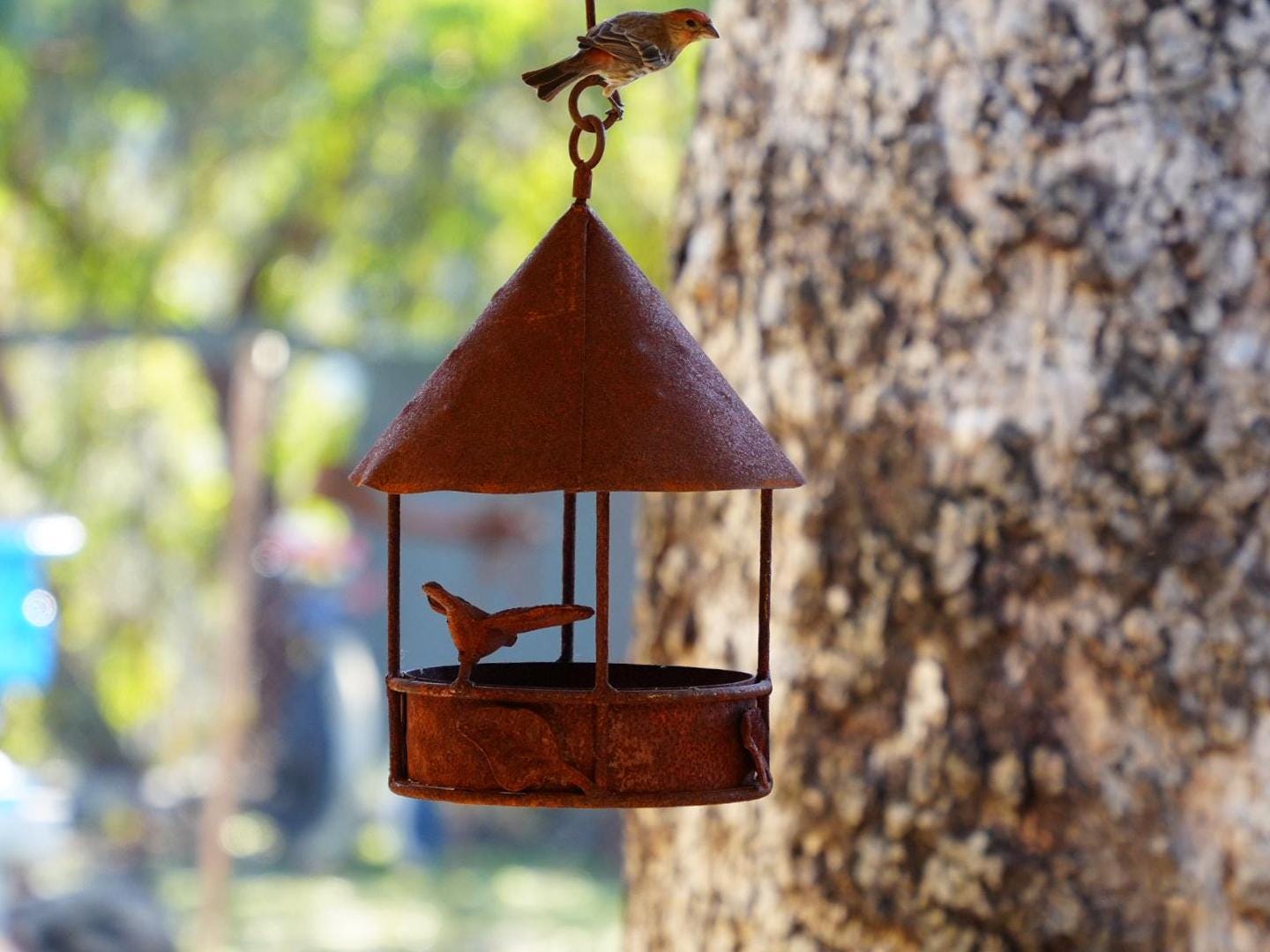 Rustic Hanging Metal Bird Feeder – Functional Outdoor Garden Yard Decor