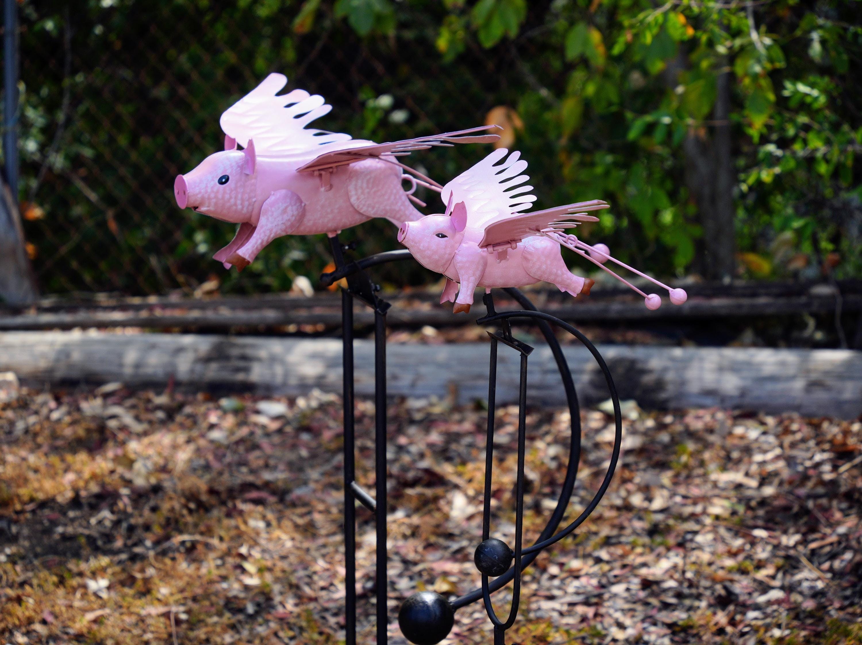 Pink Flying Pig Garden Rocker: Steel Balancing Lawn Ornament