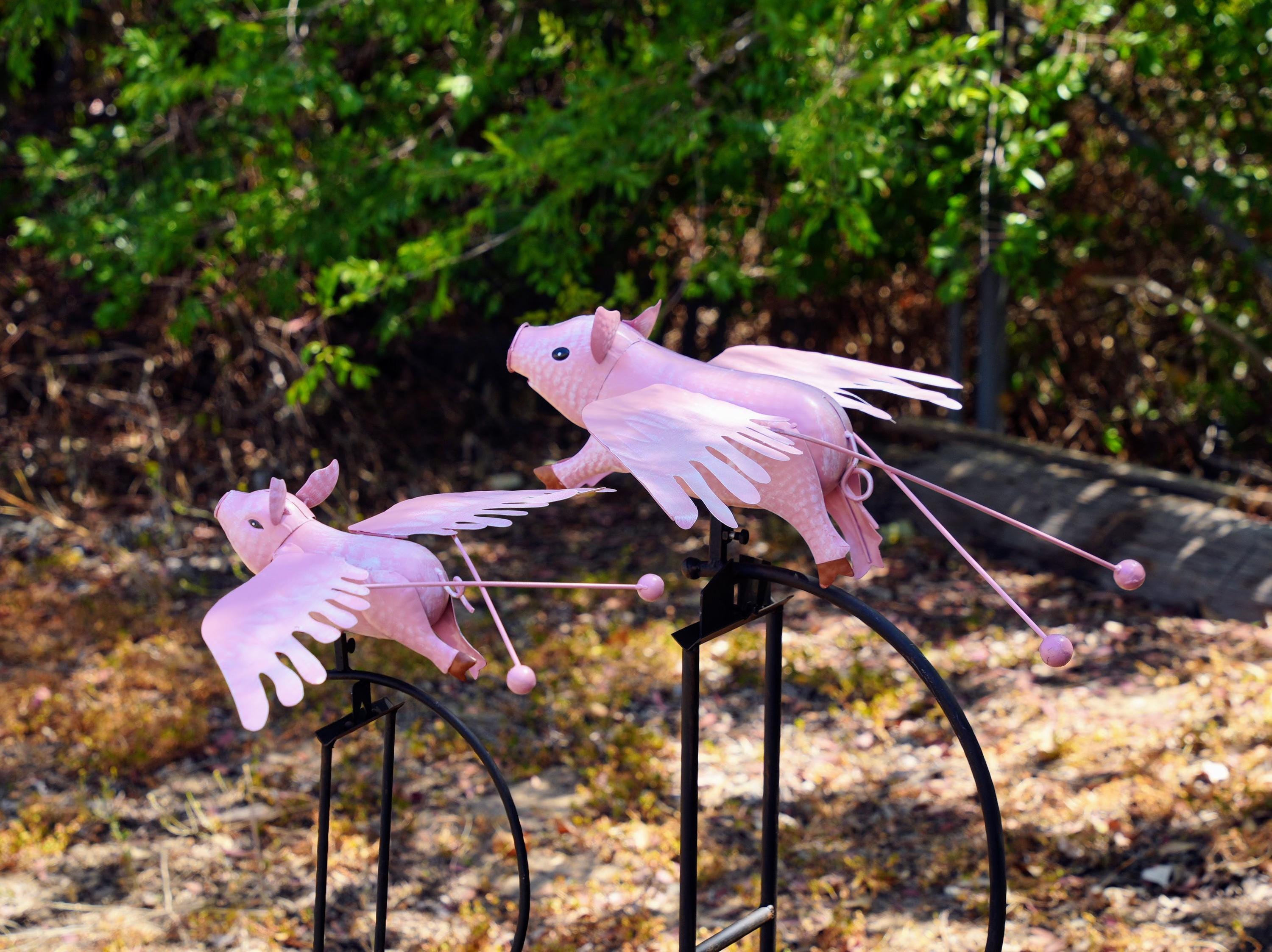 Pink Flying Pig Garden Rocker: Steel Balancing Lawn Ornament