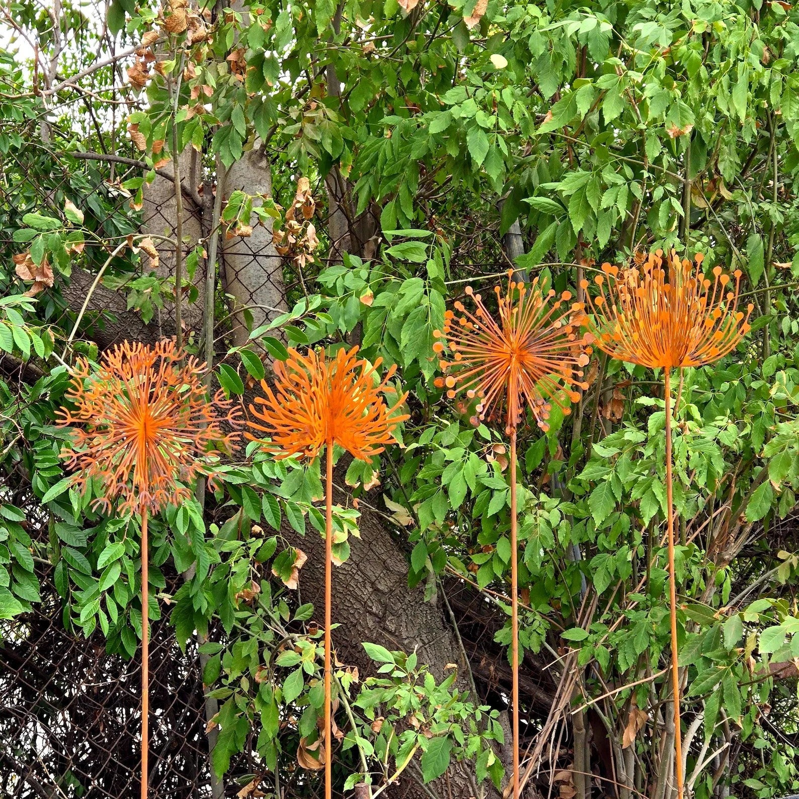 Set of 4 Rusty Metal Dandelion Garden Stake 3D Hand-Welded Design