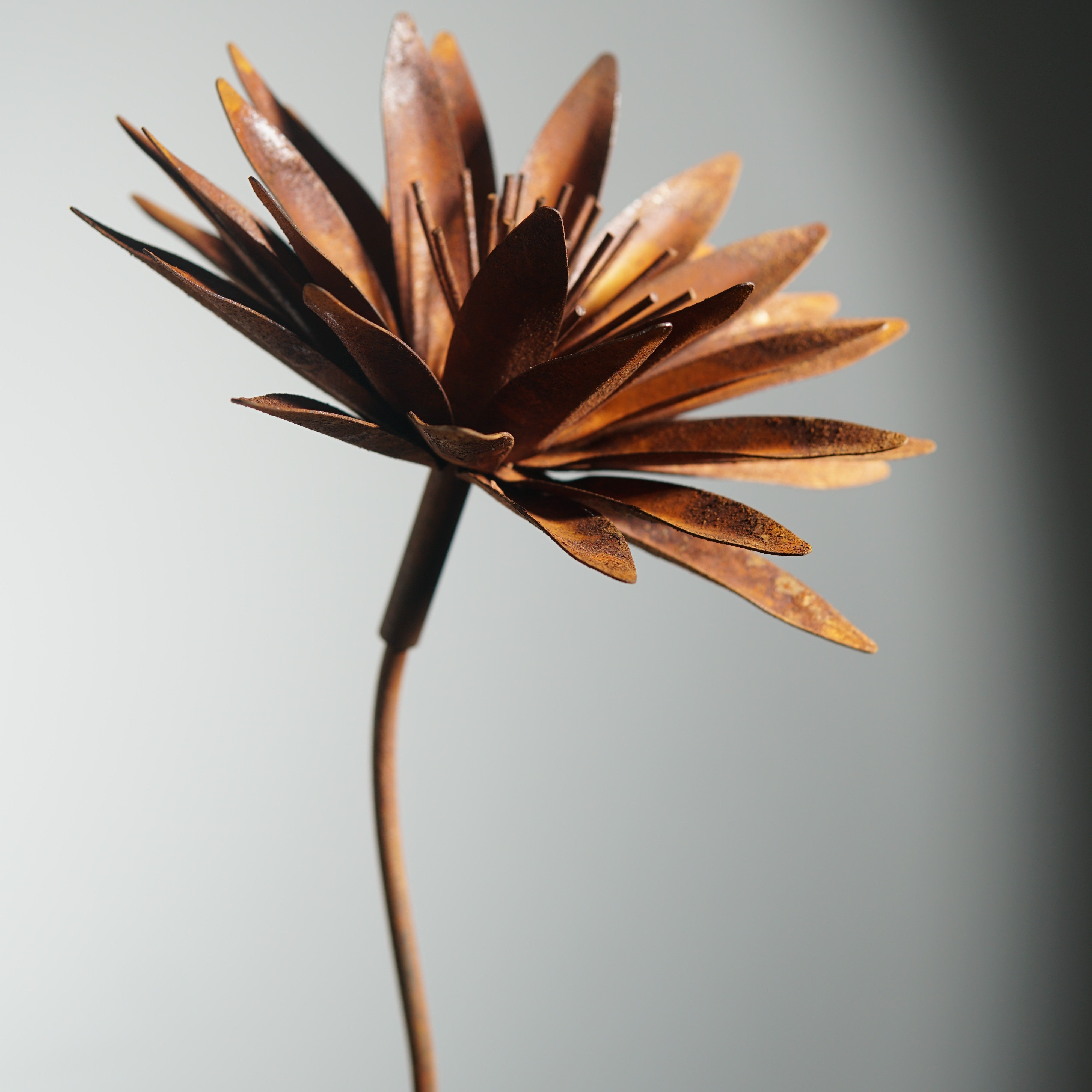 TR0005 - Small flower stake