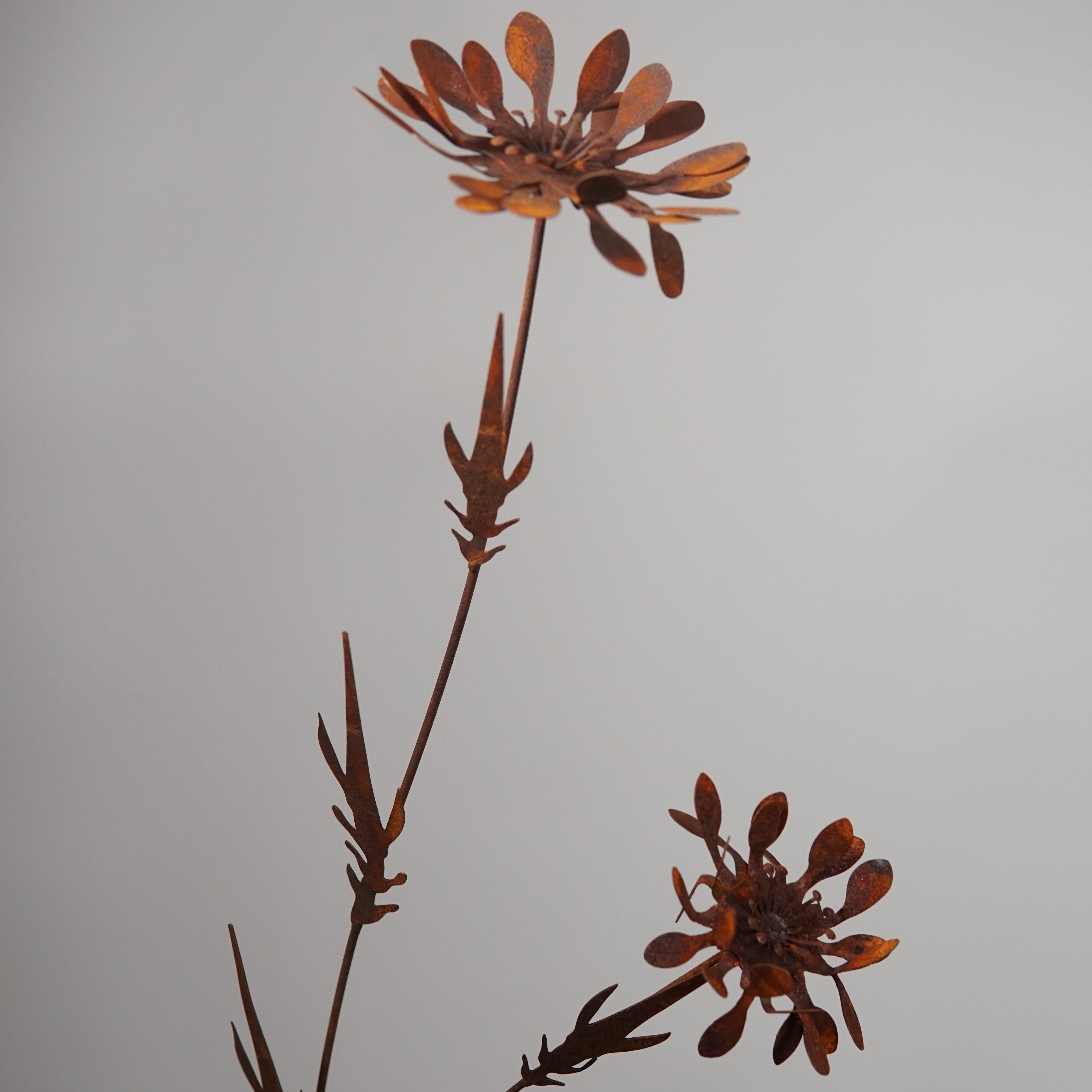 W6014 - Mountain chrysanthemum flower stake