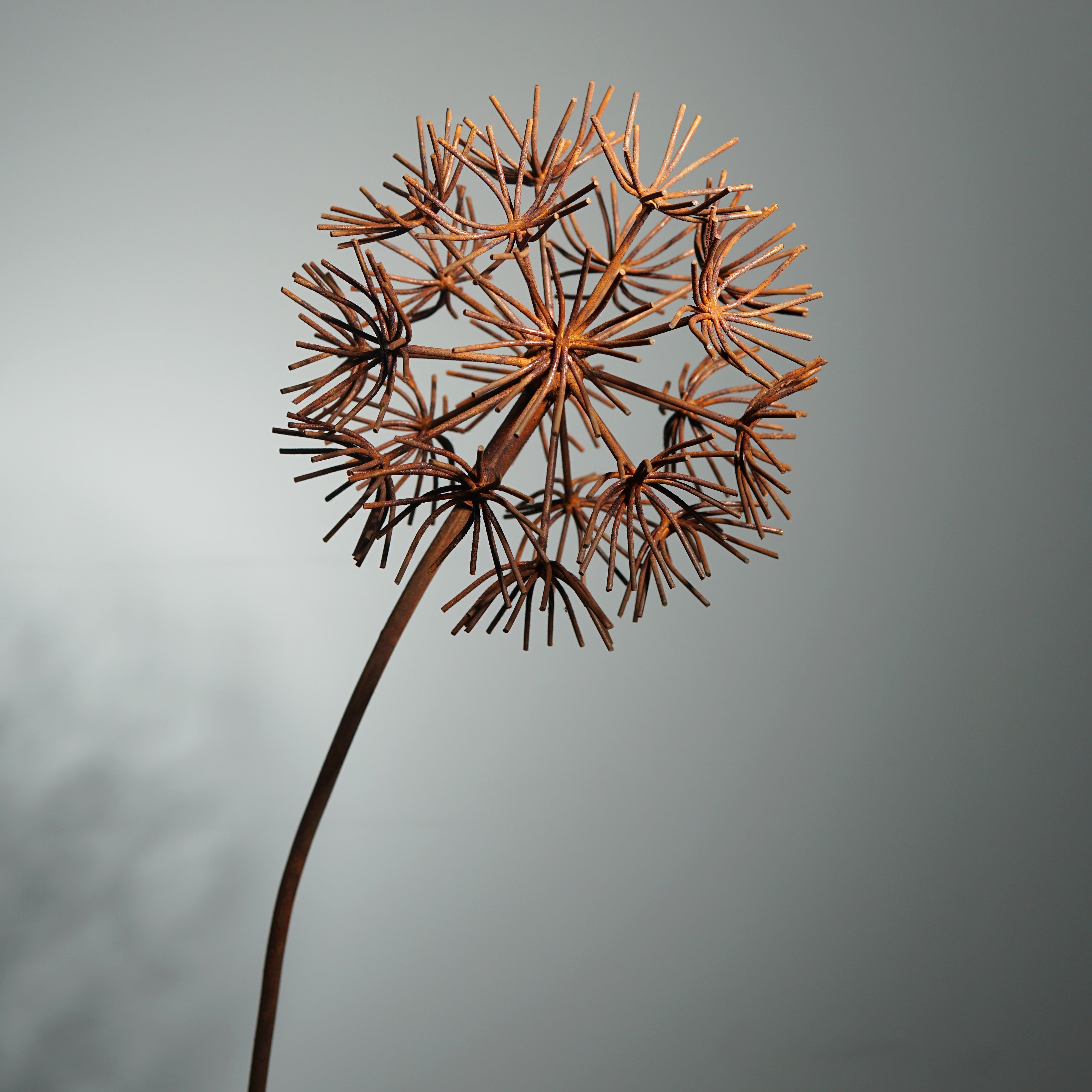 W6078B - Bruniaceae flower stake