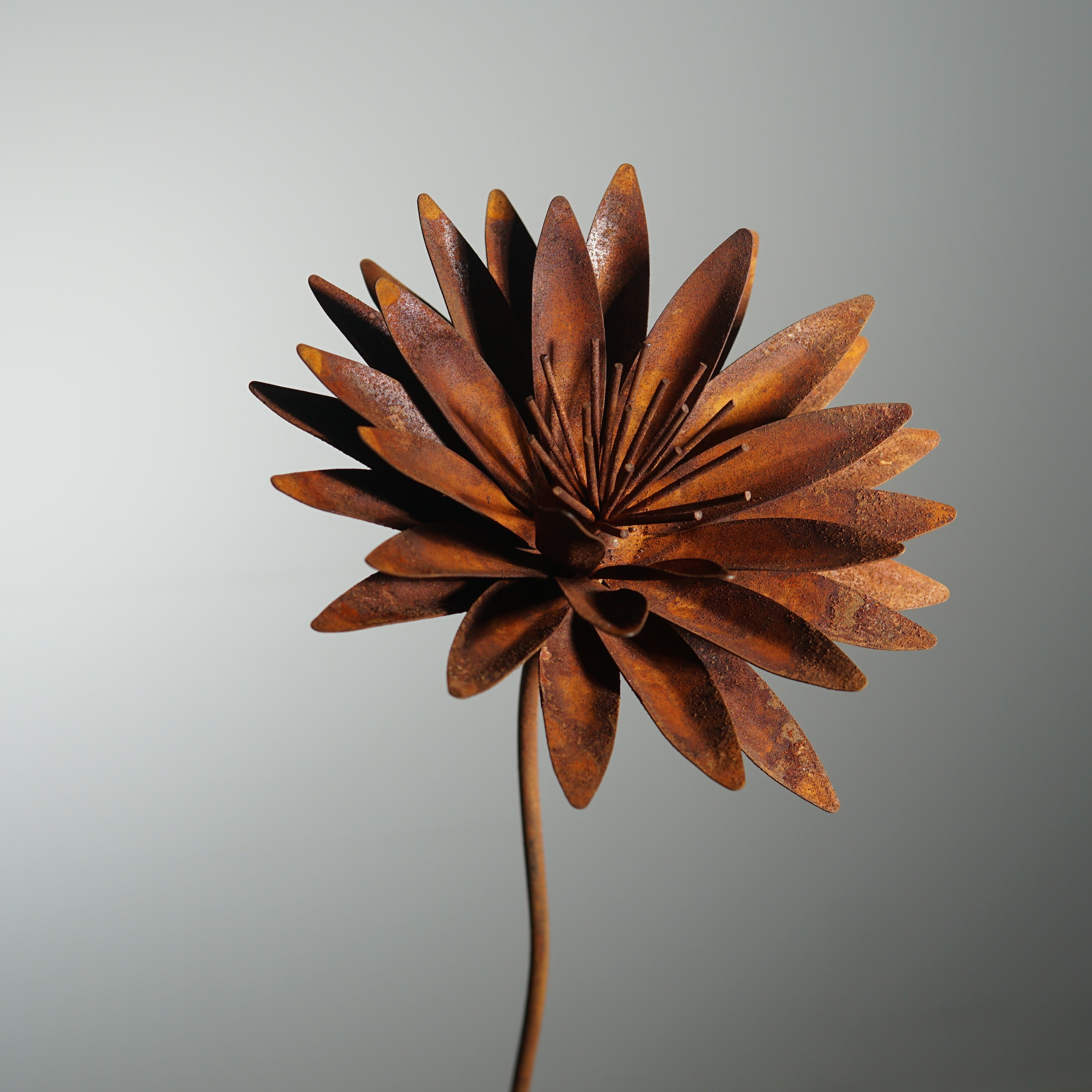 TR0005 - Small flower stake