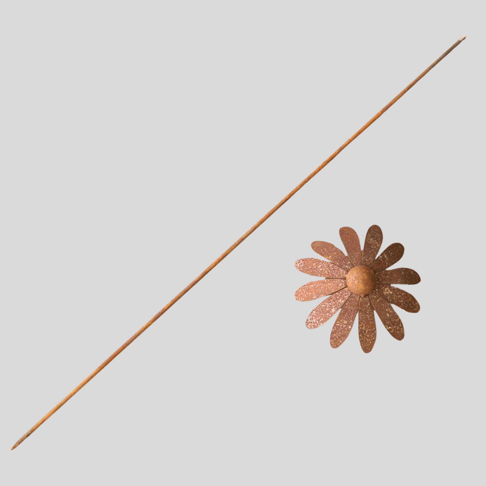 W4995 Daisy stake