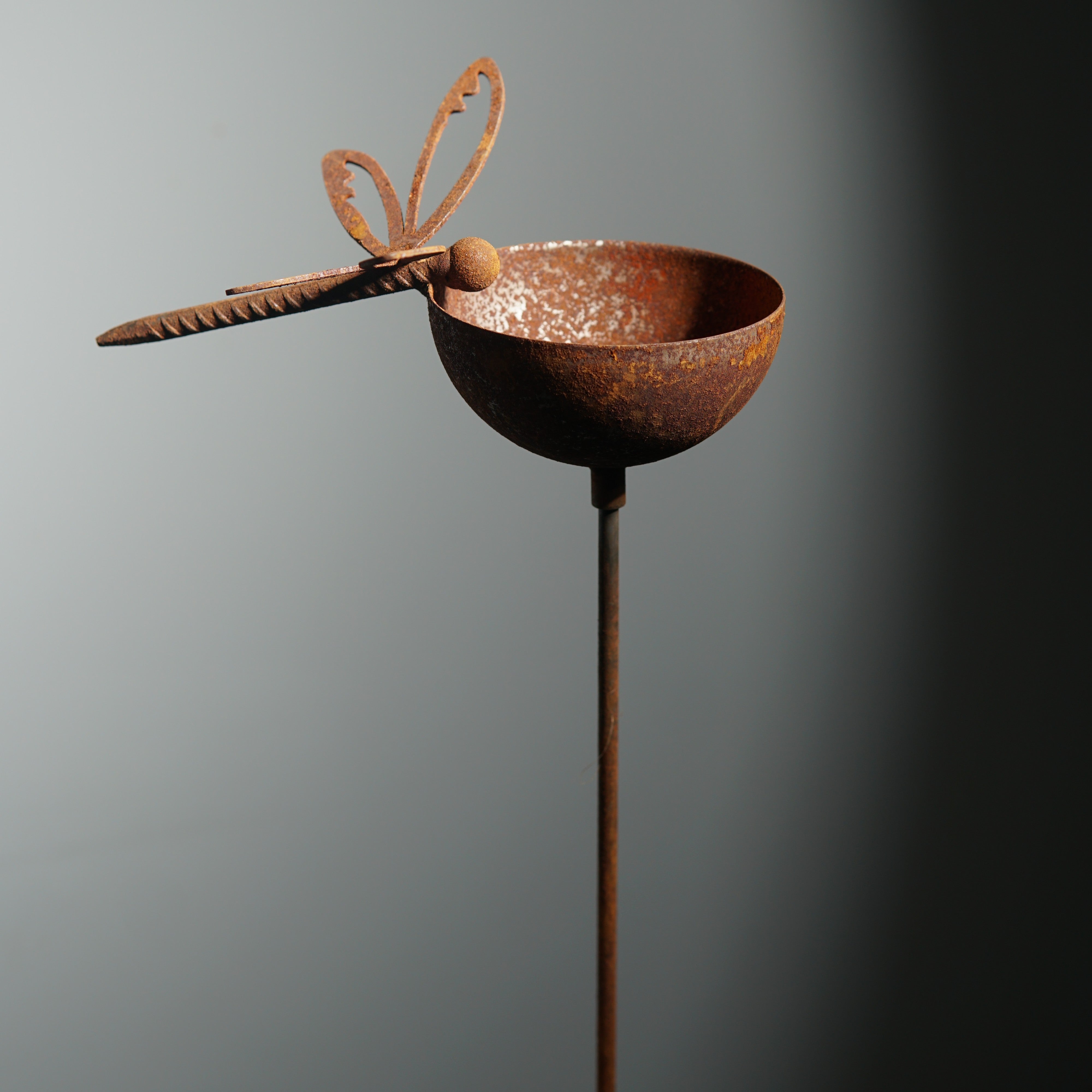 W4996 dragonfly rain bowl