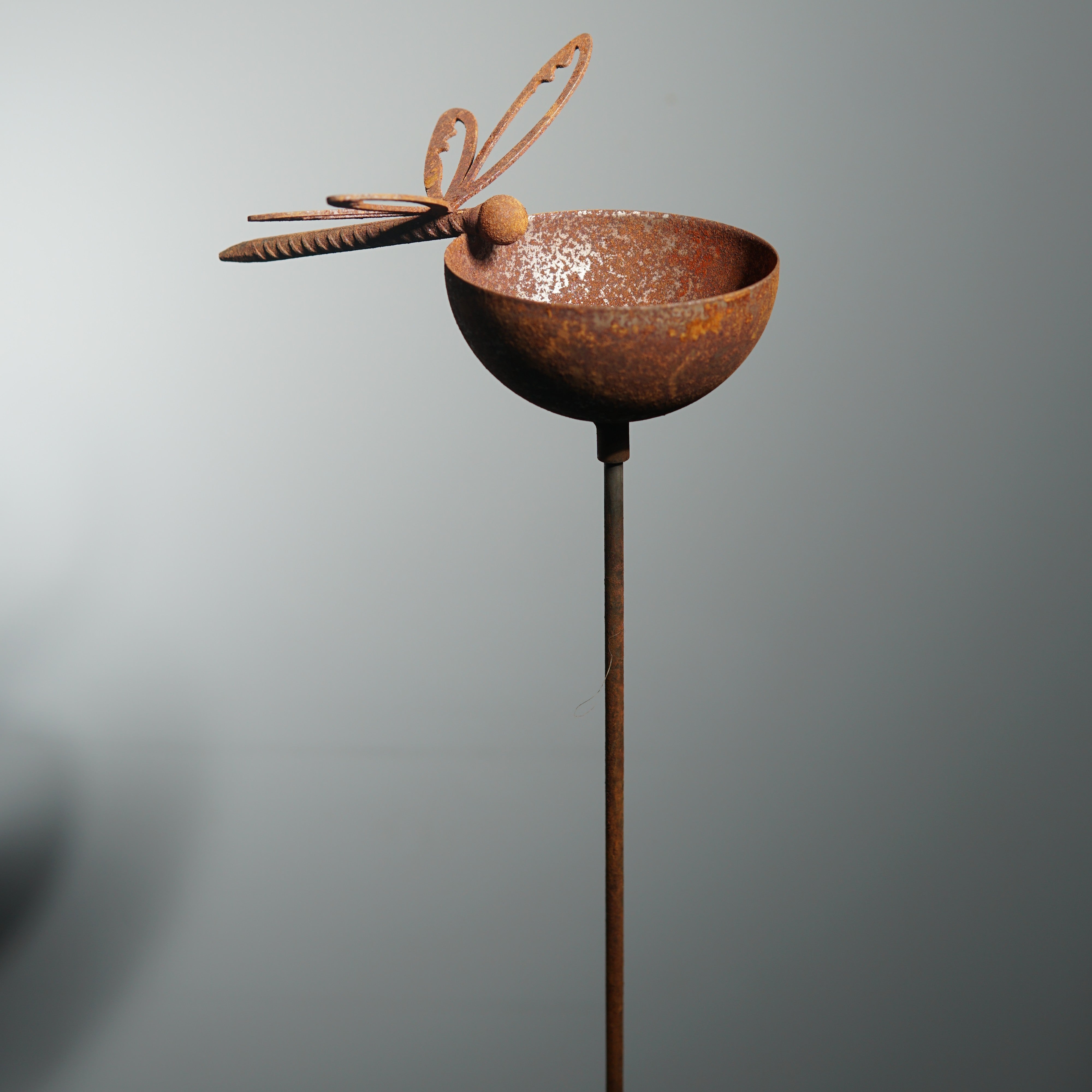 W4996 dragonfly rain bowl