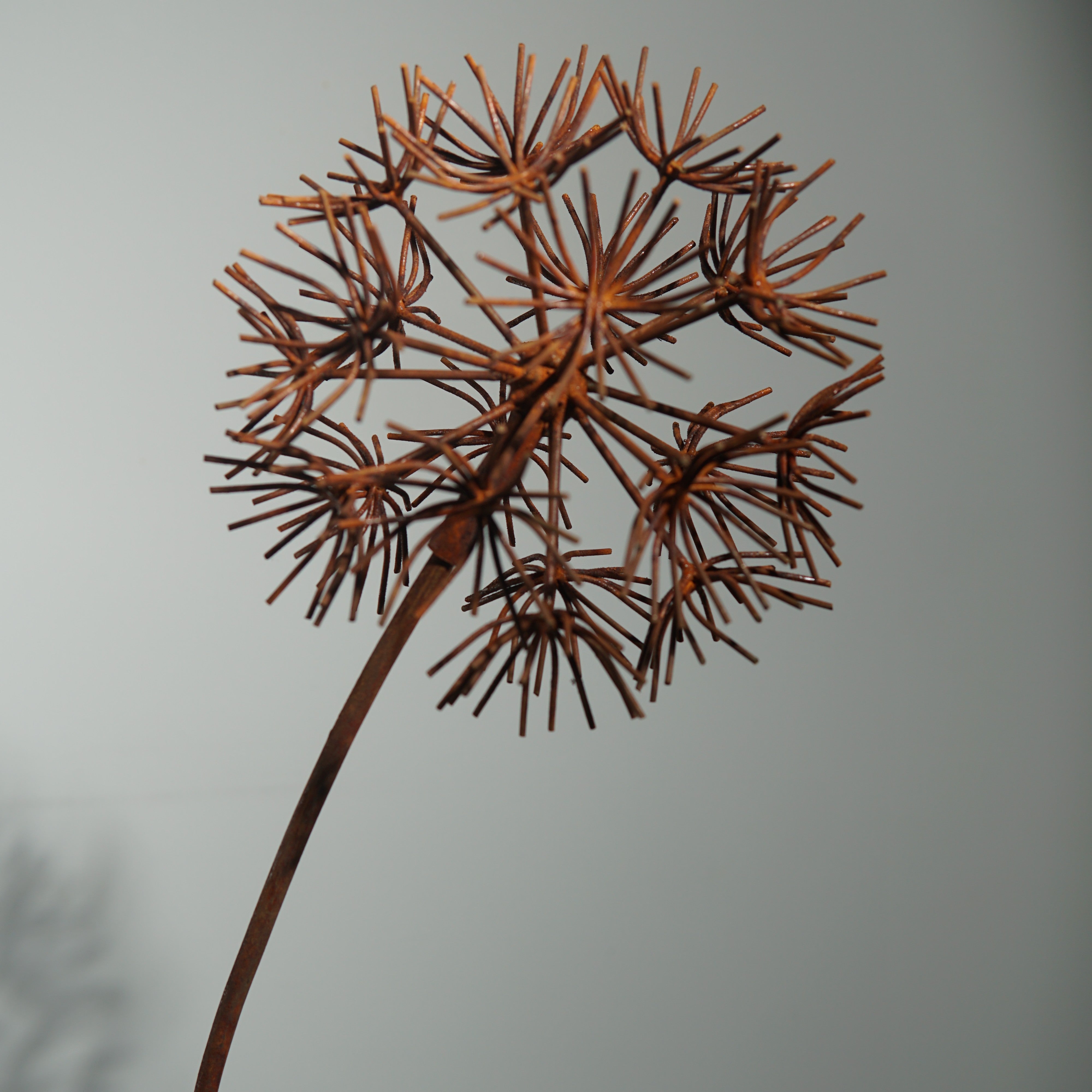 W6078B - Bruniaceae flower stake