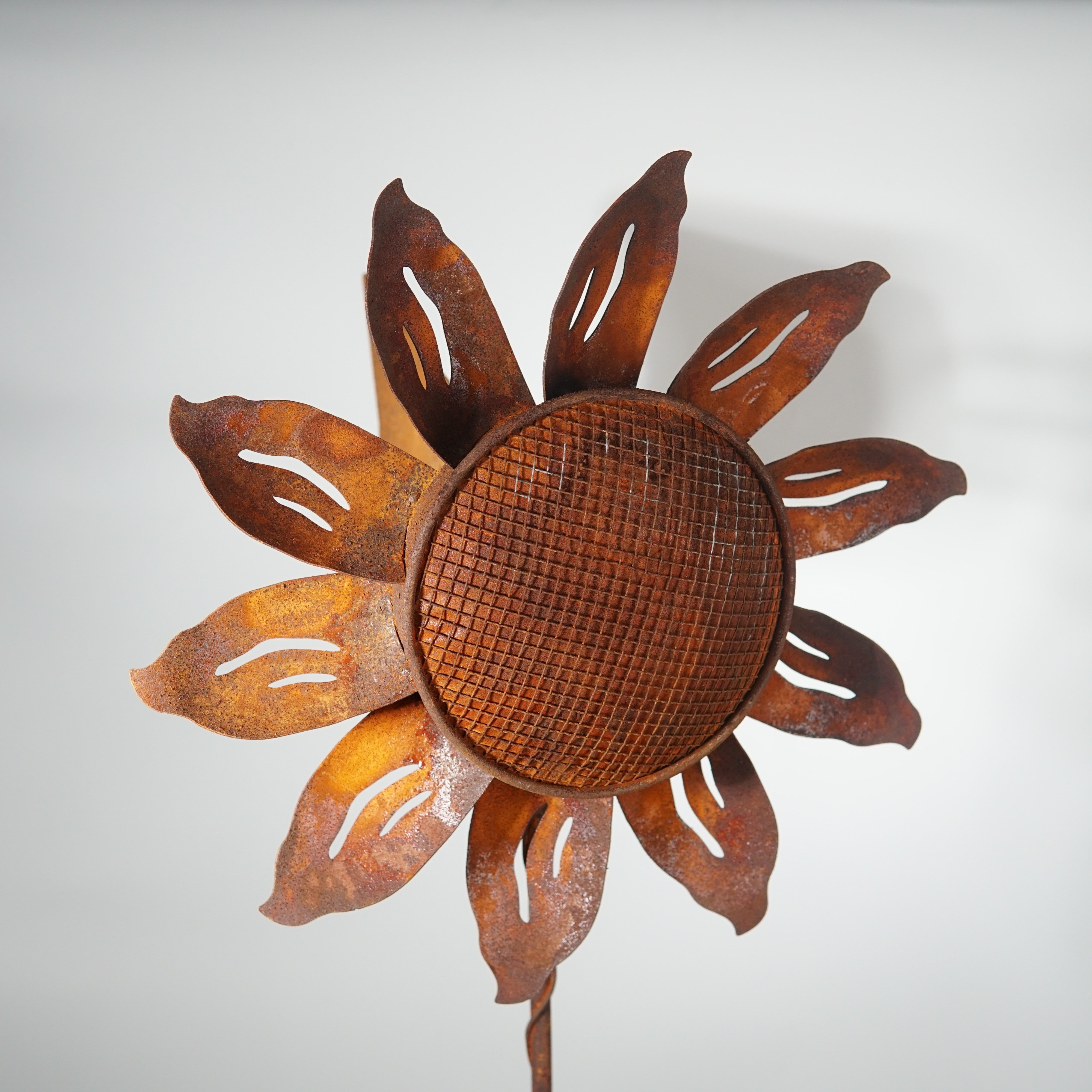 W4650-TAIL - Sunflower Spinner