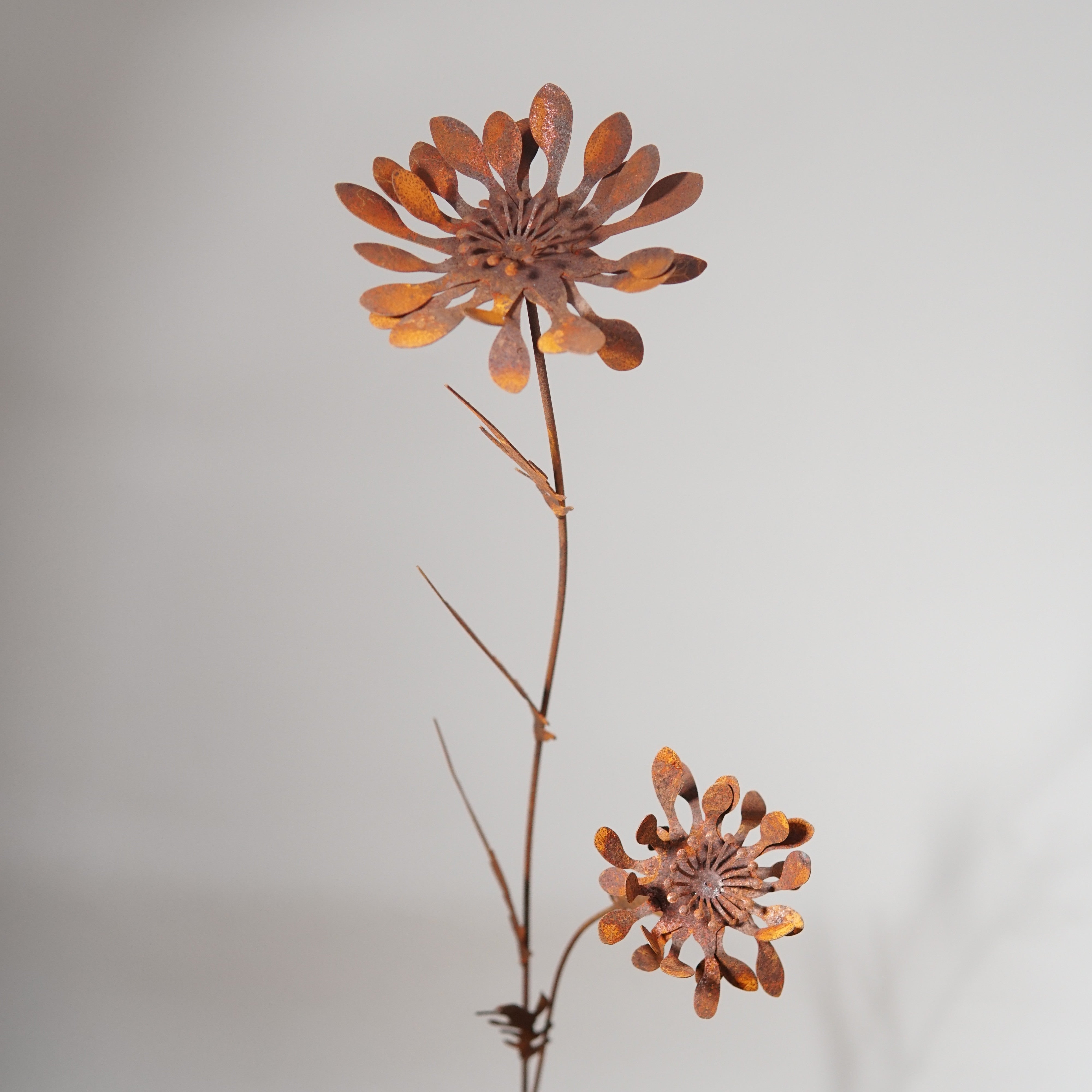 W6014 - Mountain chrysanthemum flower stake