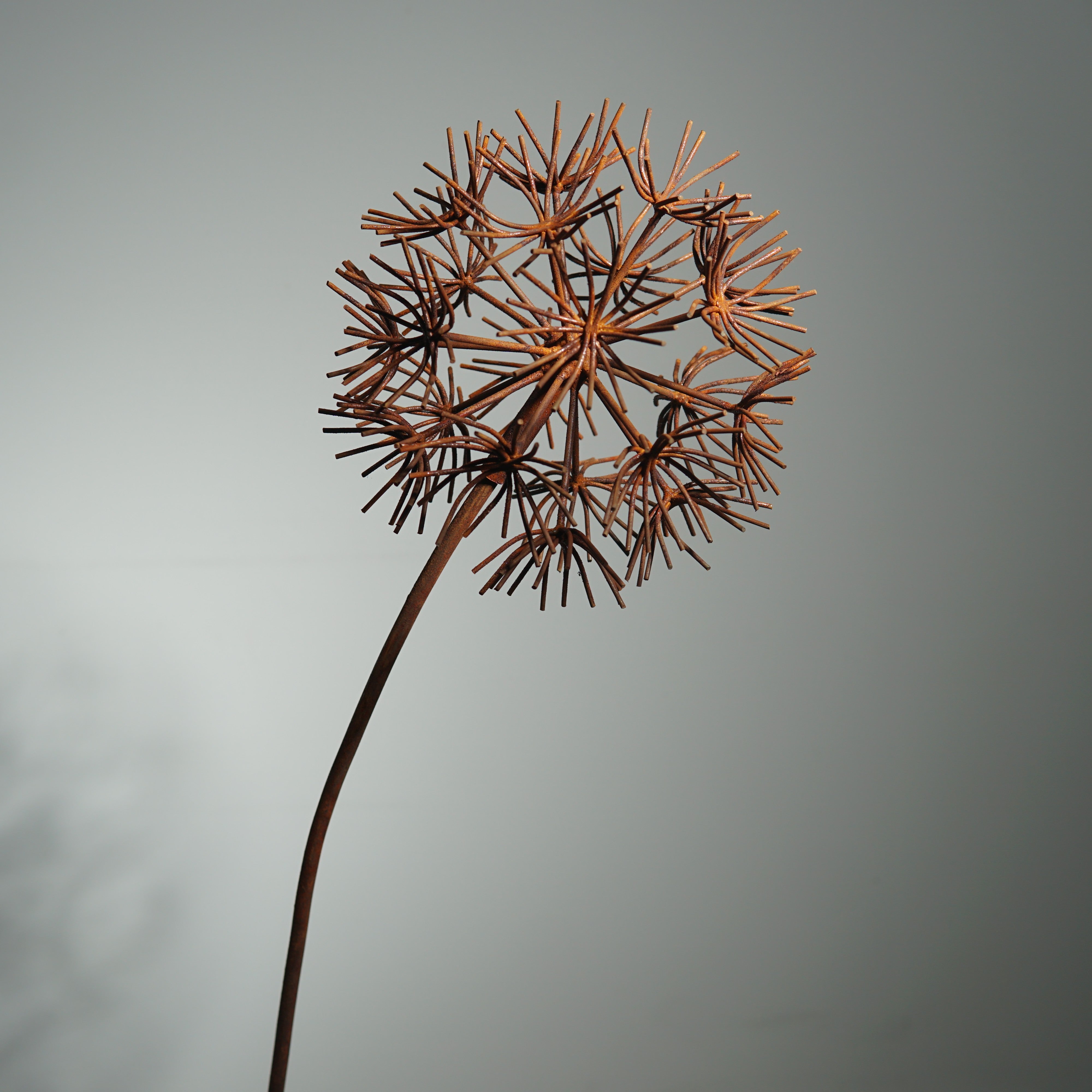 W6078B - Bruniaceae flower stake