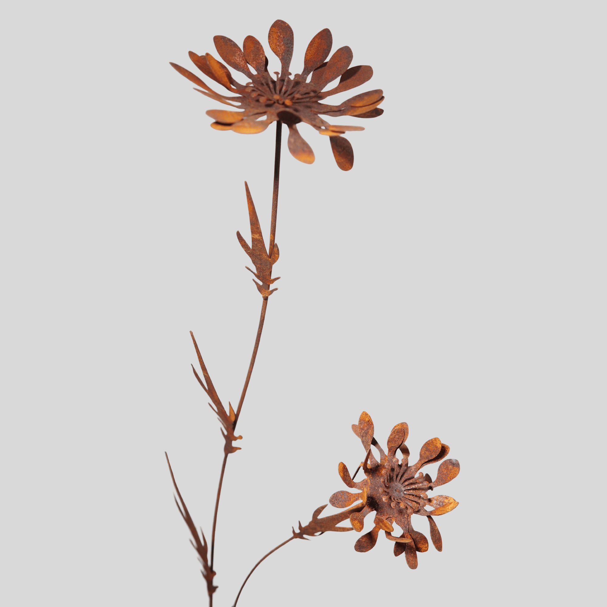 W6014 - Mountain chrysanthemum flower stake