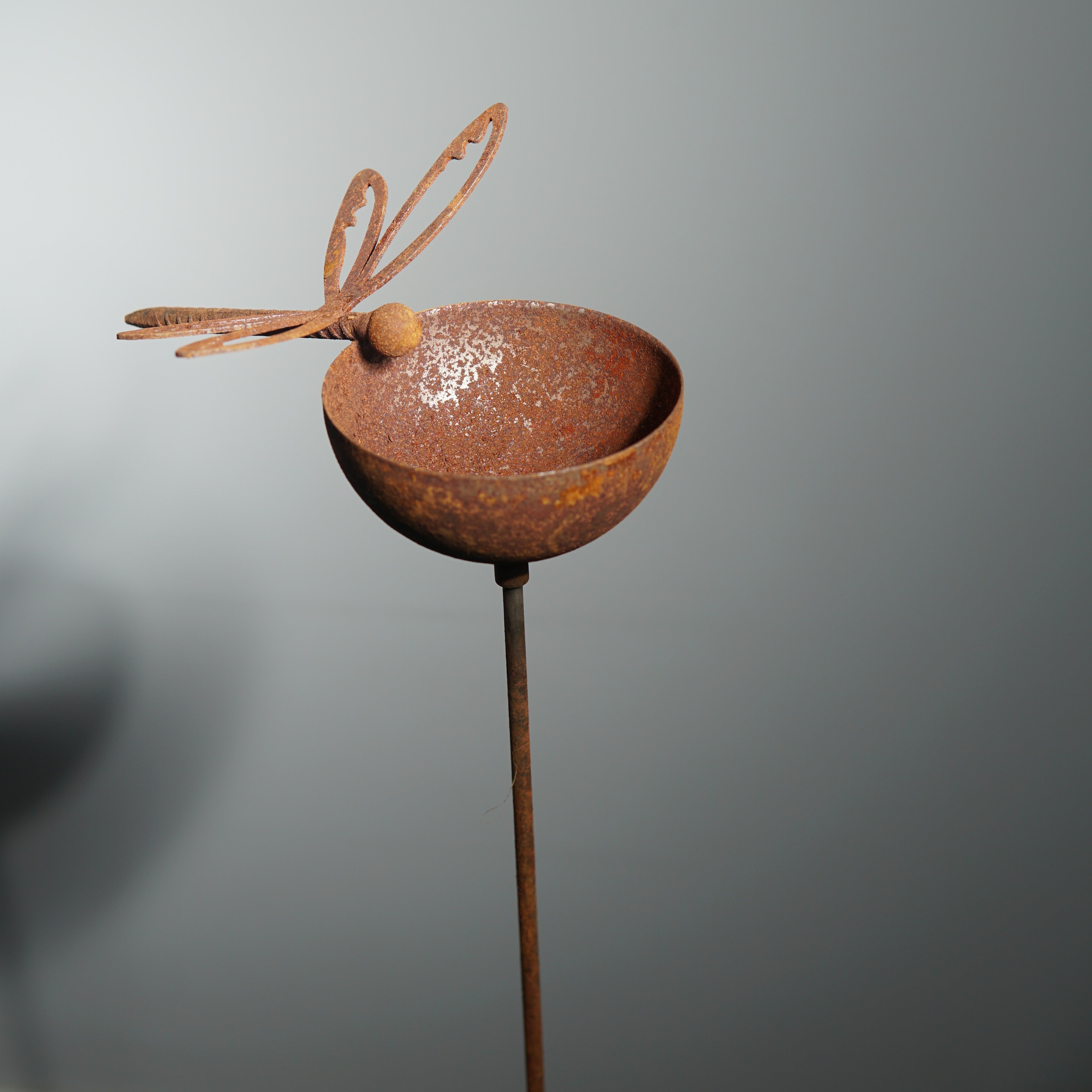 W4996 dragonfly rain bowl