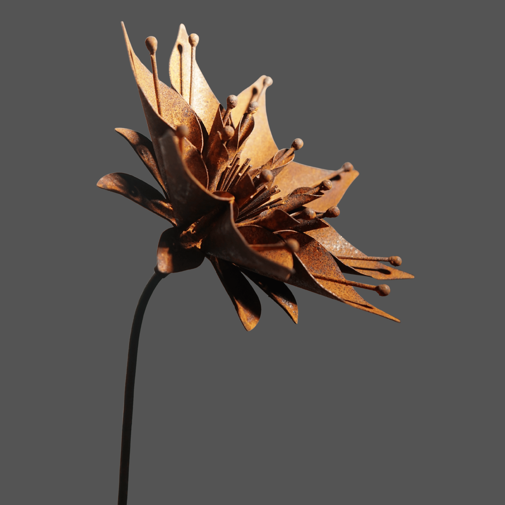 W6050 - Morning glory flower stake