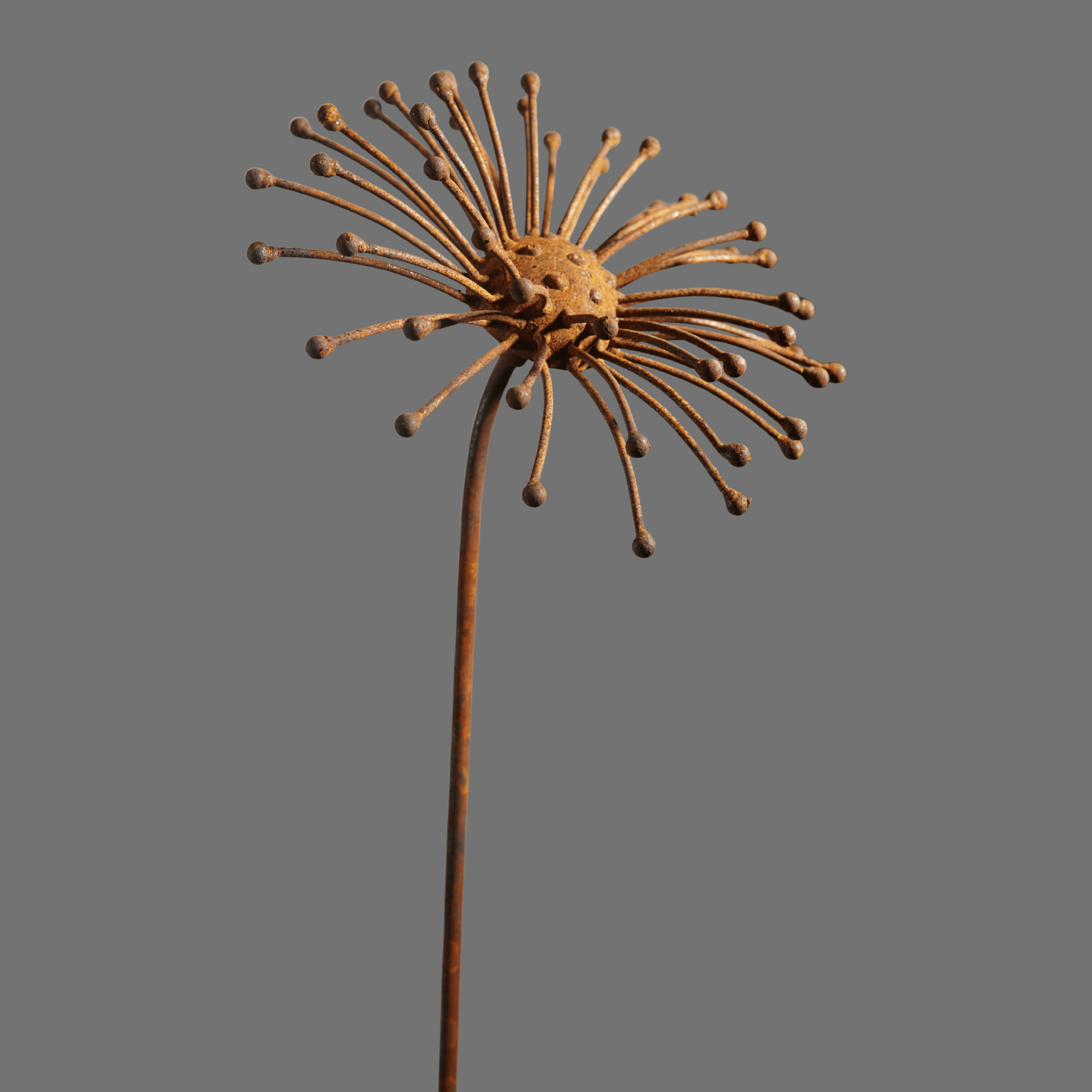 W6052 - Daisy flower stake