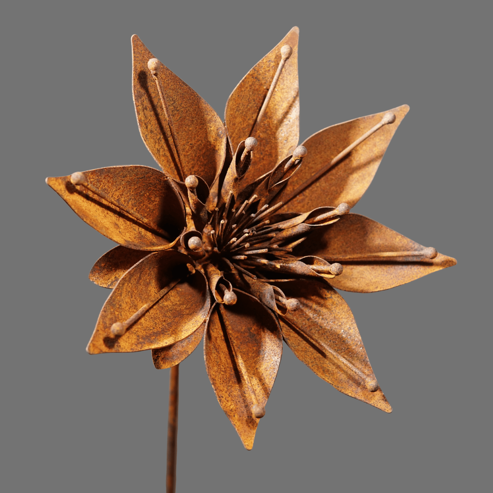 W6050 - Morning glory flower stake