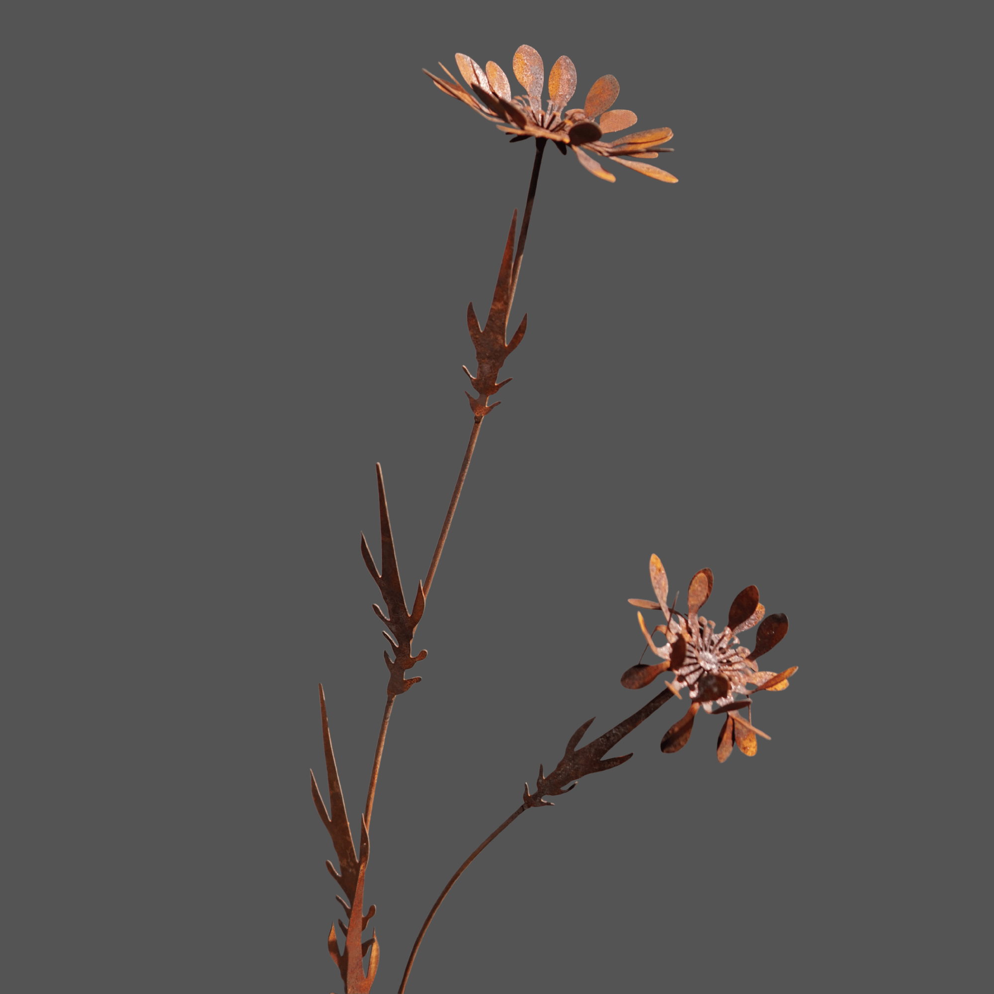 W6014 - Mountain chrysanthemum flower stake