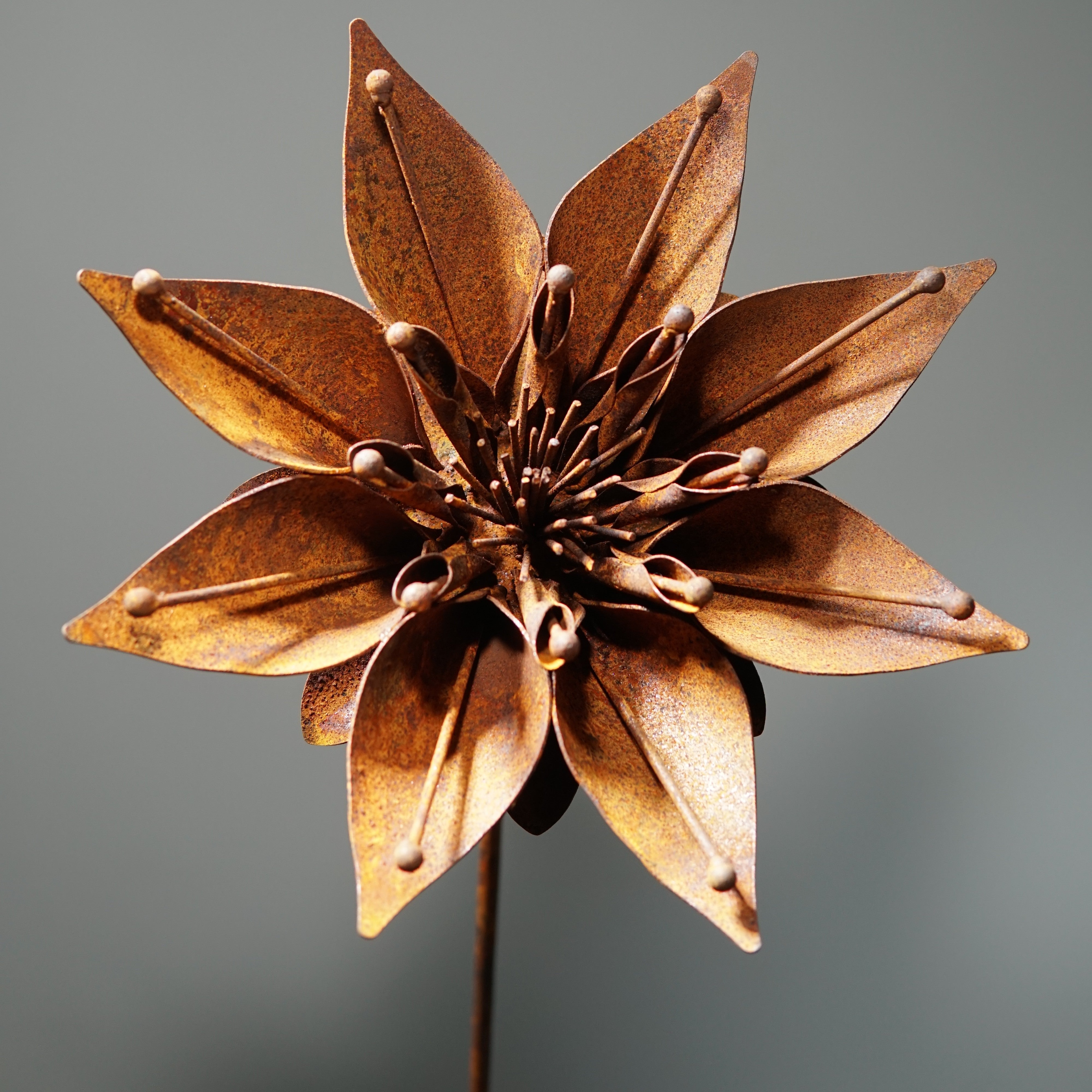 W6050 - Morning glory flower stake