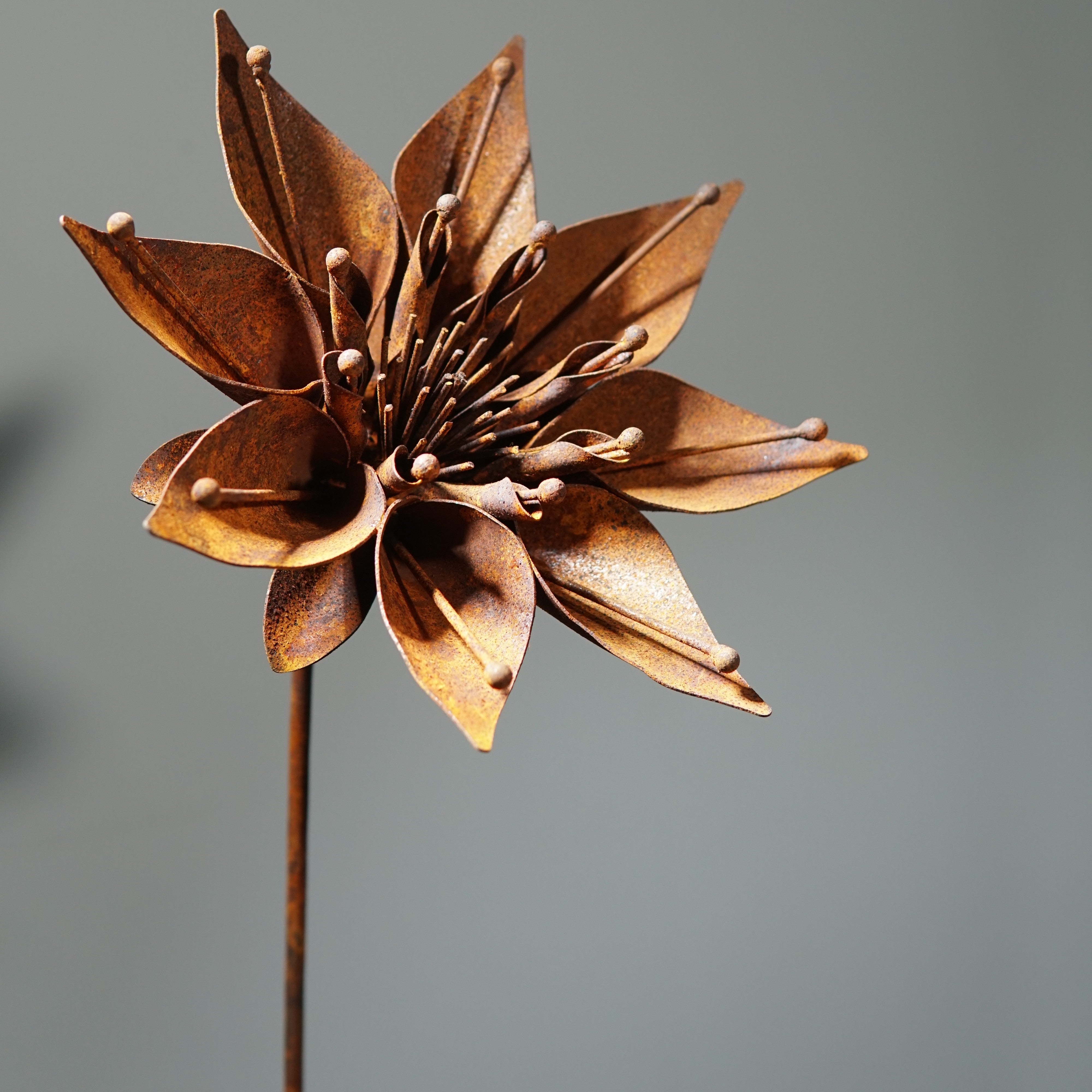 W6050 - Morning glory flower stake