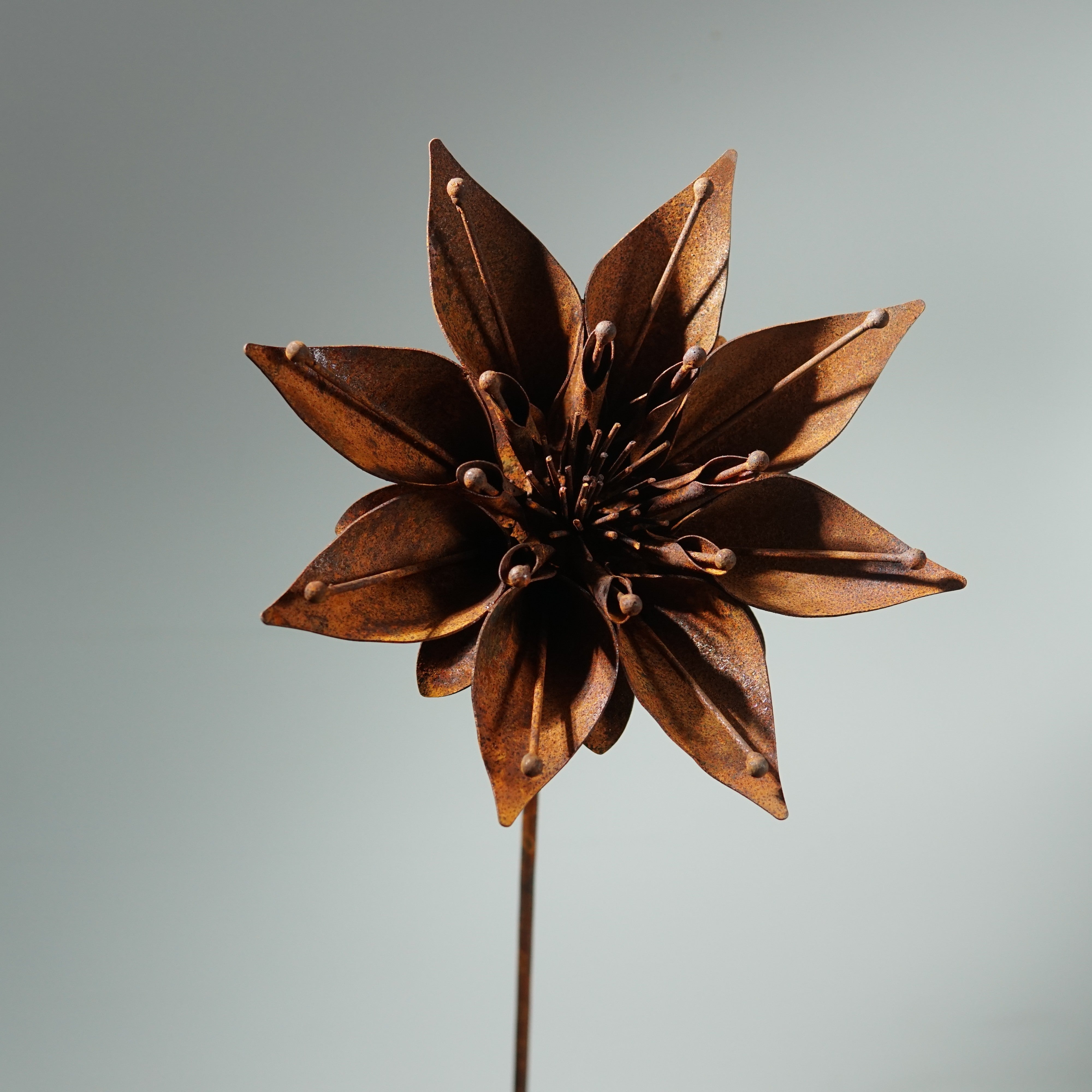 W6050 - Morning glory flower stake