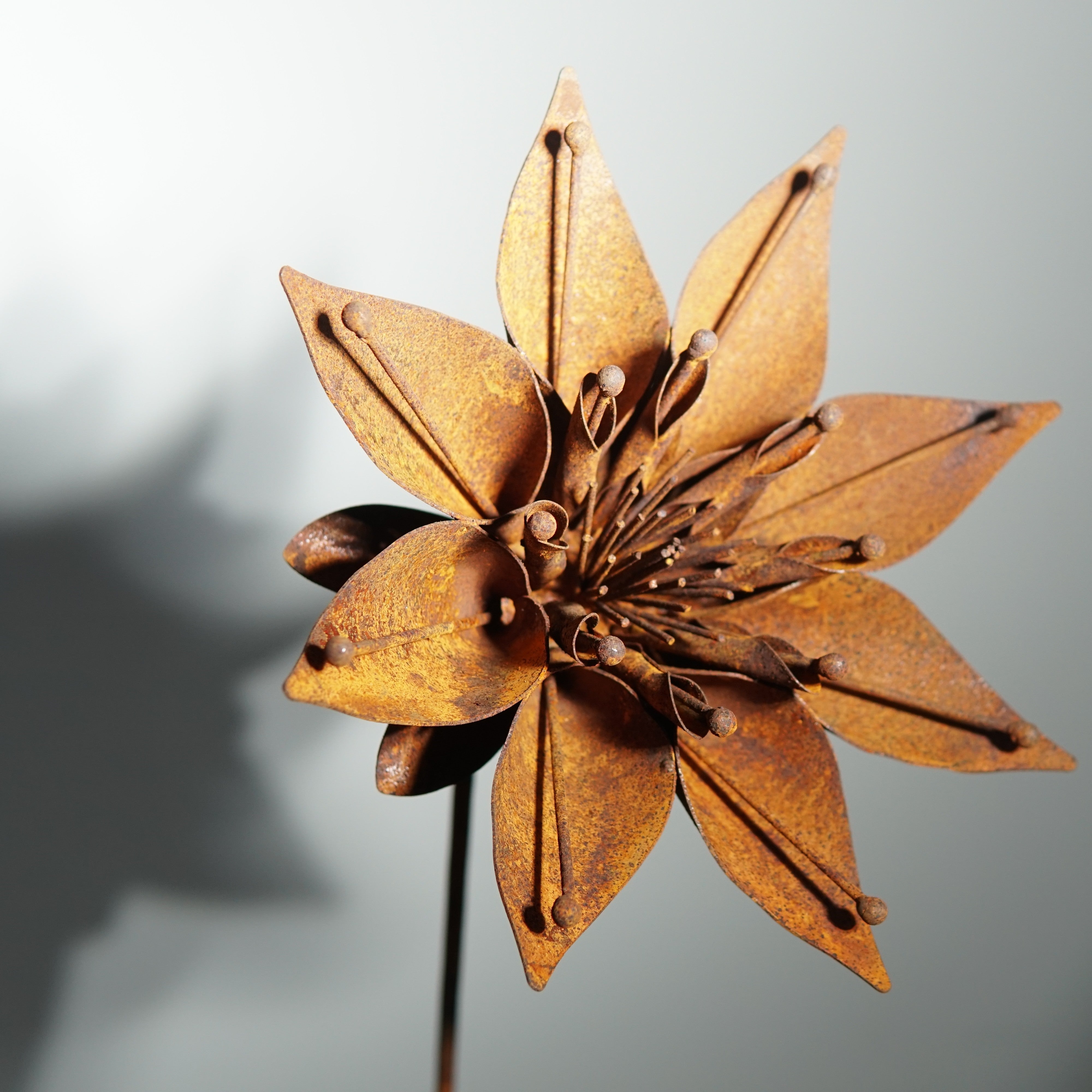 W6050 - Morning glory flower stake