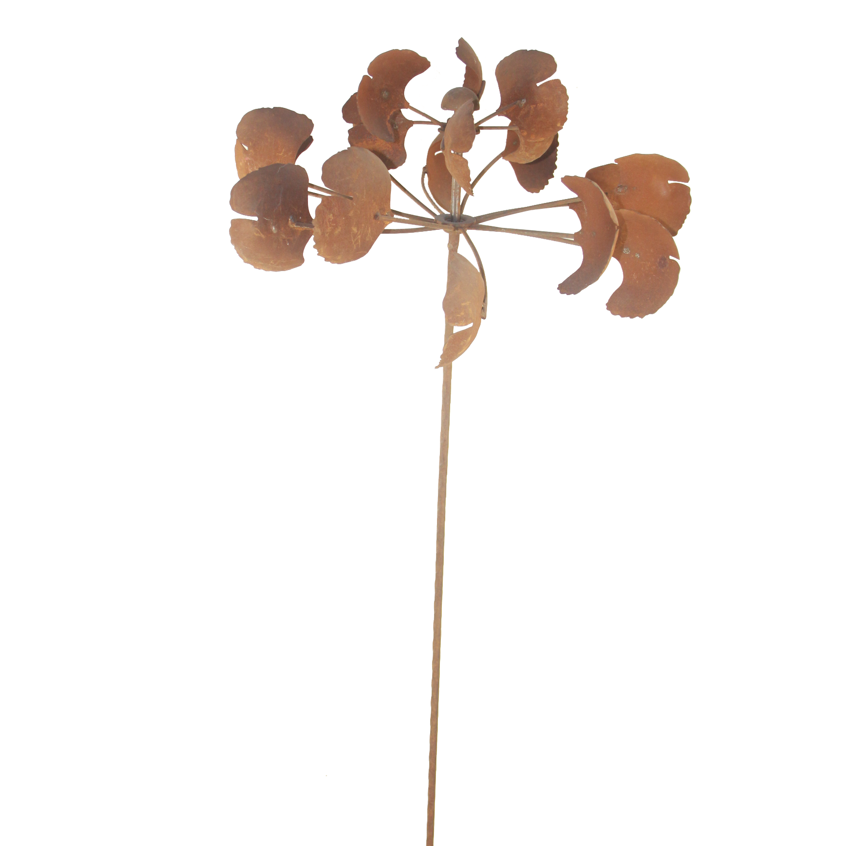 GRG074 Ginkgo lea spinner