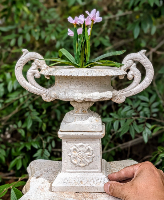 Vintage Cast Iron Urn Planter with Base & Handles