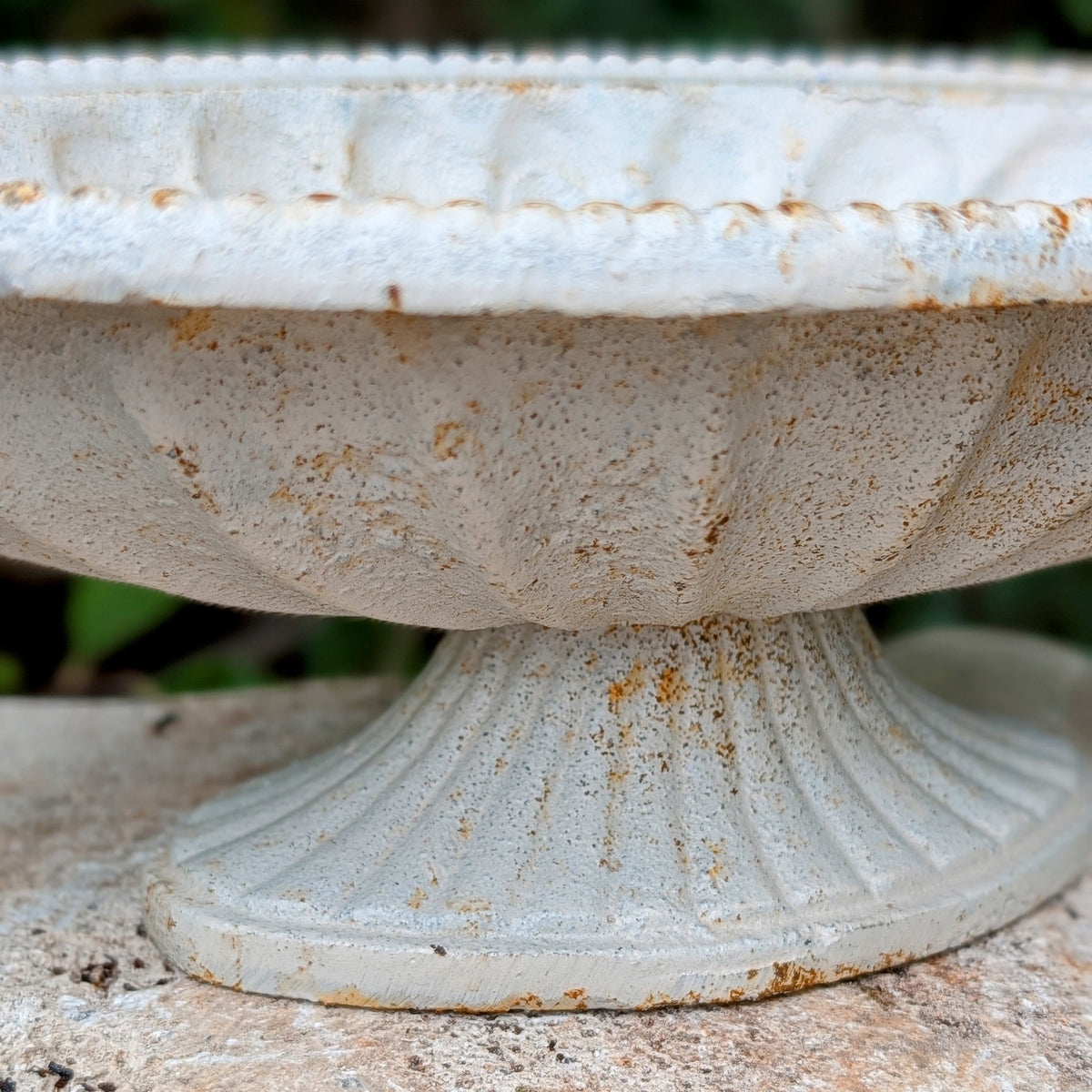Oval Cast Iron Pedestal Planter