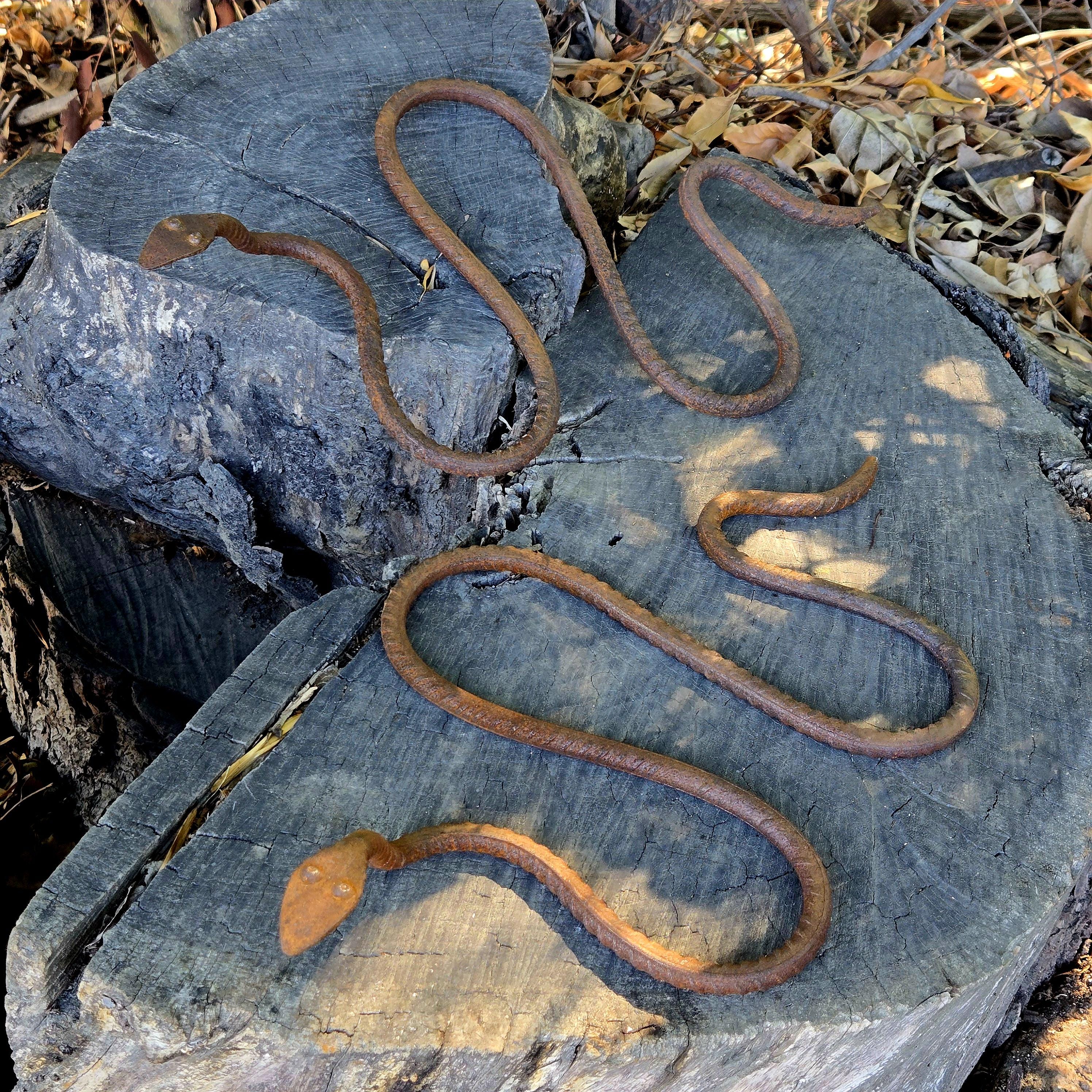 Rustic Metal Snake Garden Art: Outdoor Wildlife Sculpture